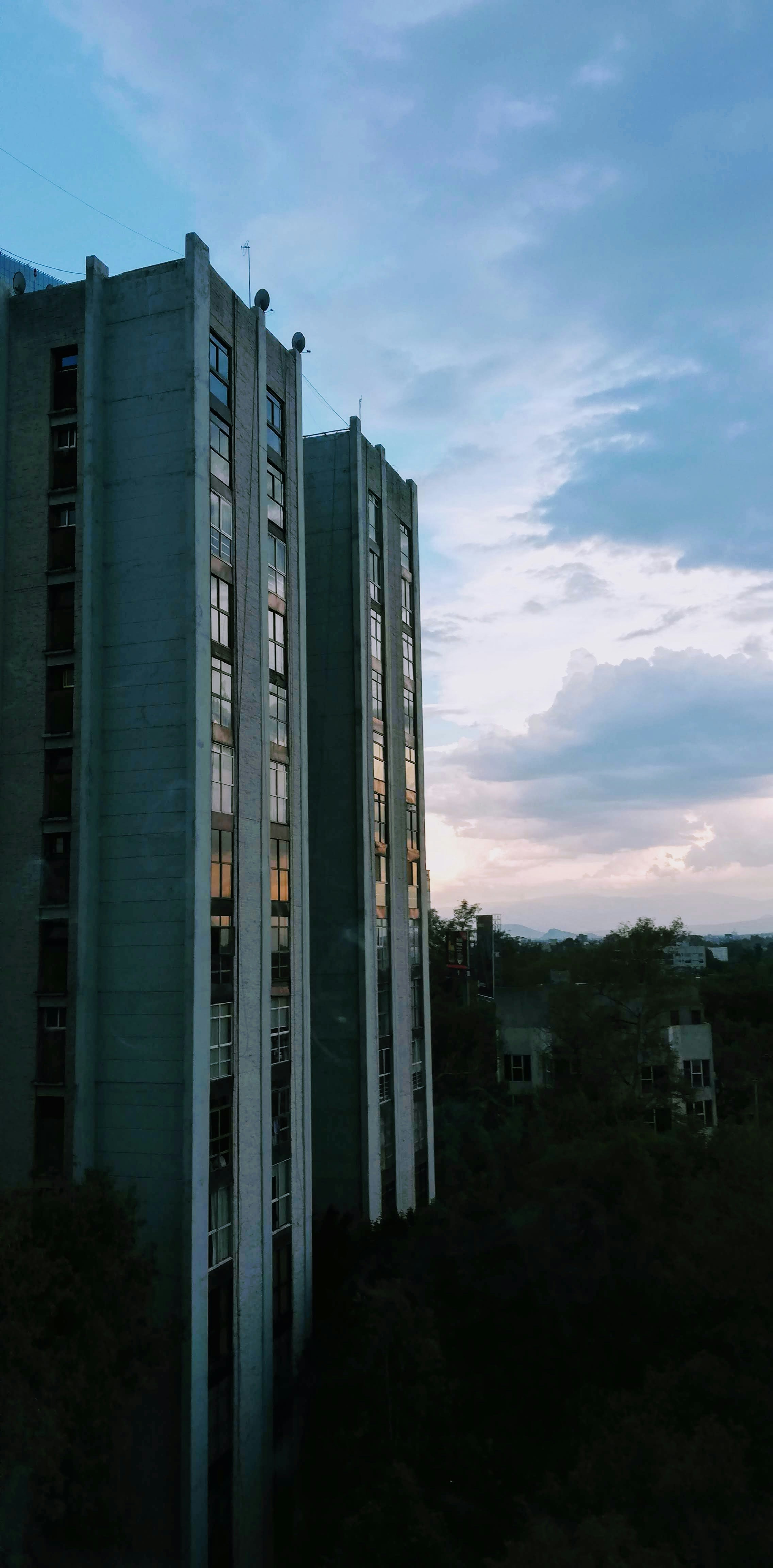 Photo by cristinacerda