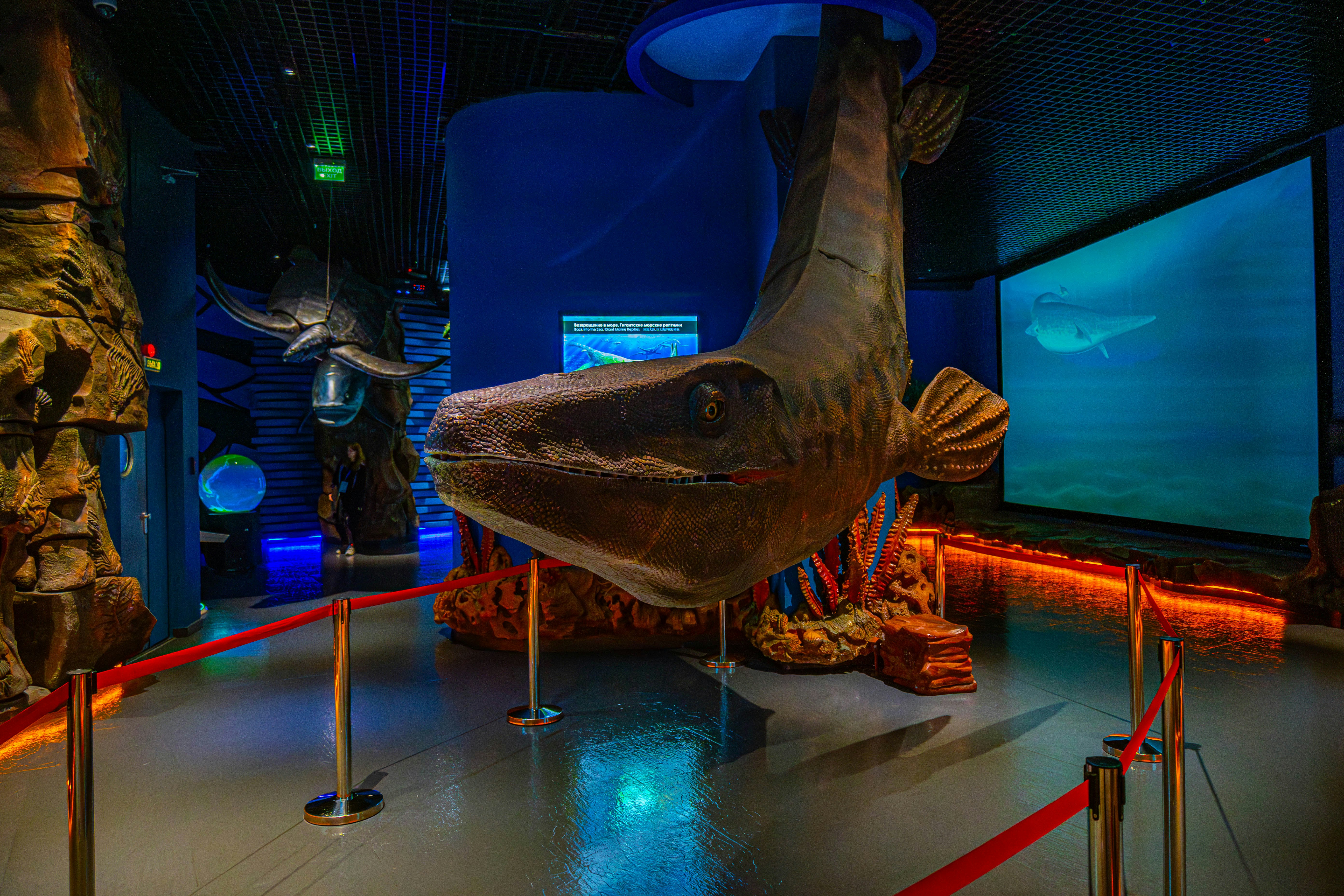 Ancient Sharks That Make Great Whites Look Small (image credits: unsplash)