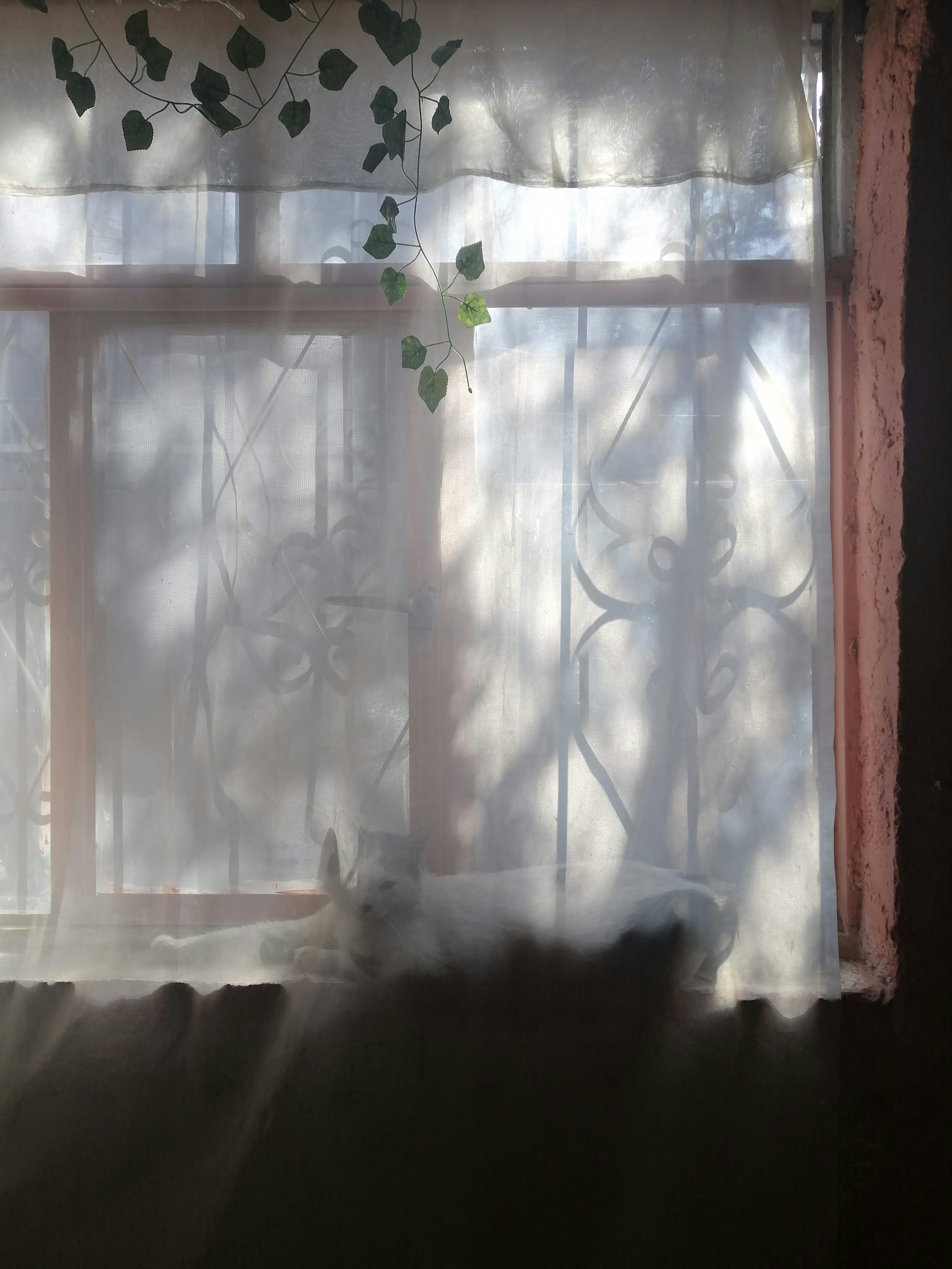 Photo by cristinacerda