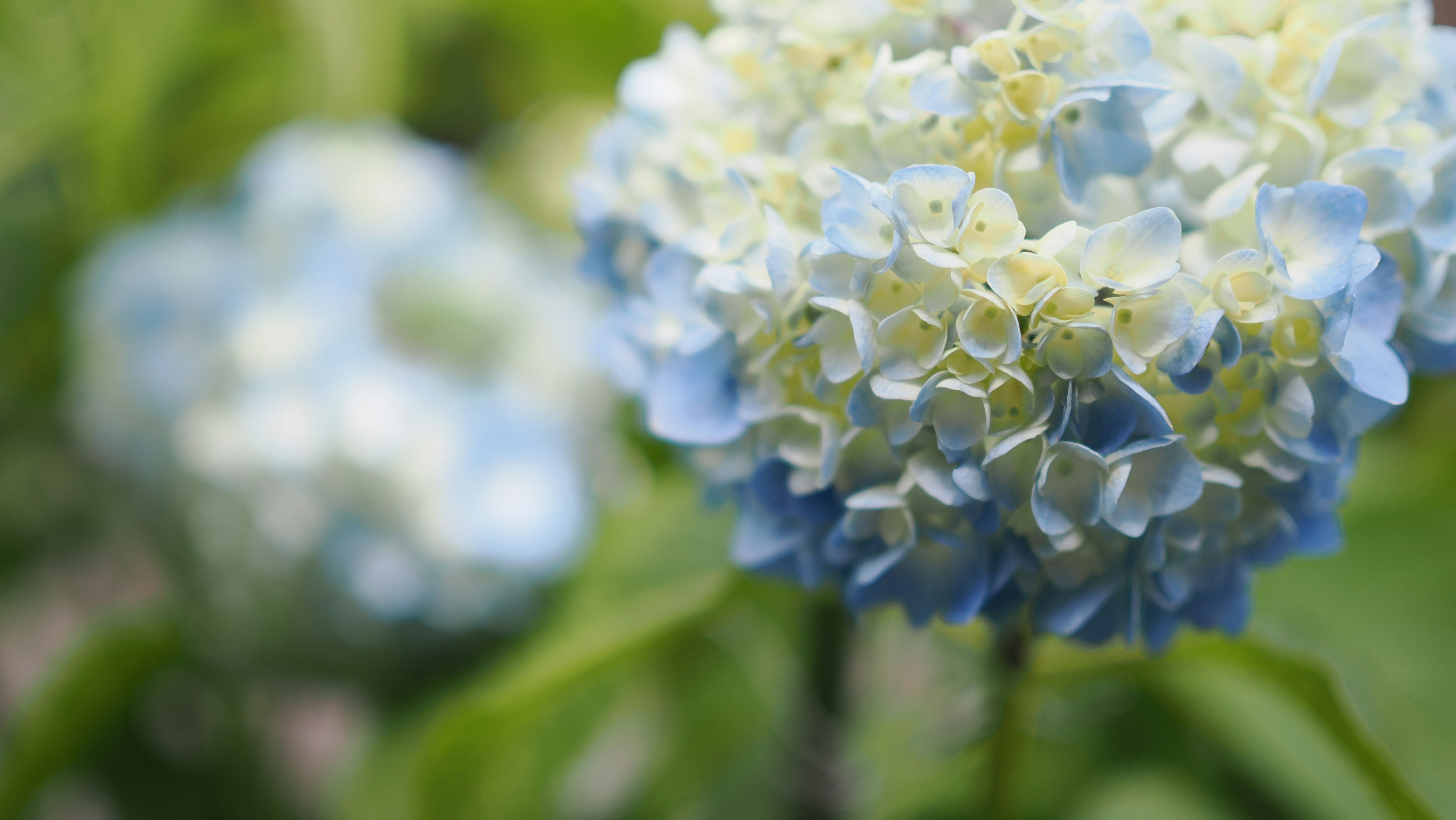 Photo by kazz_aoki