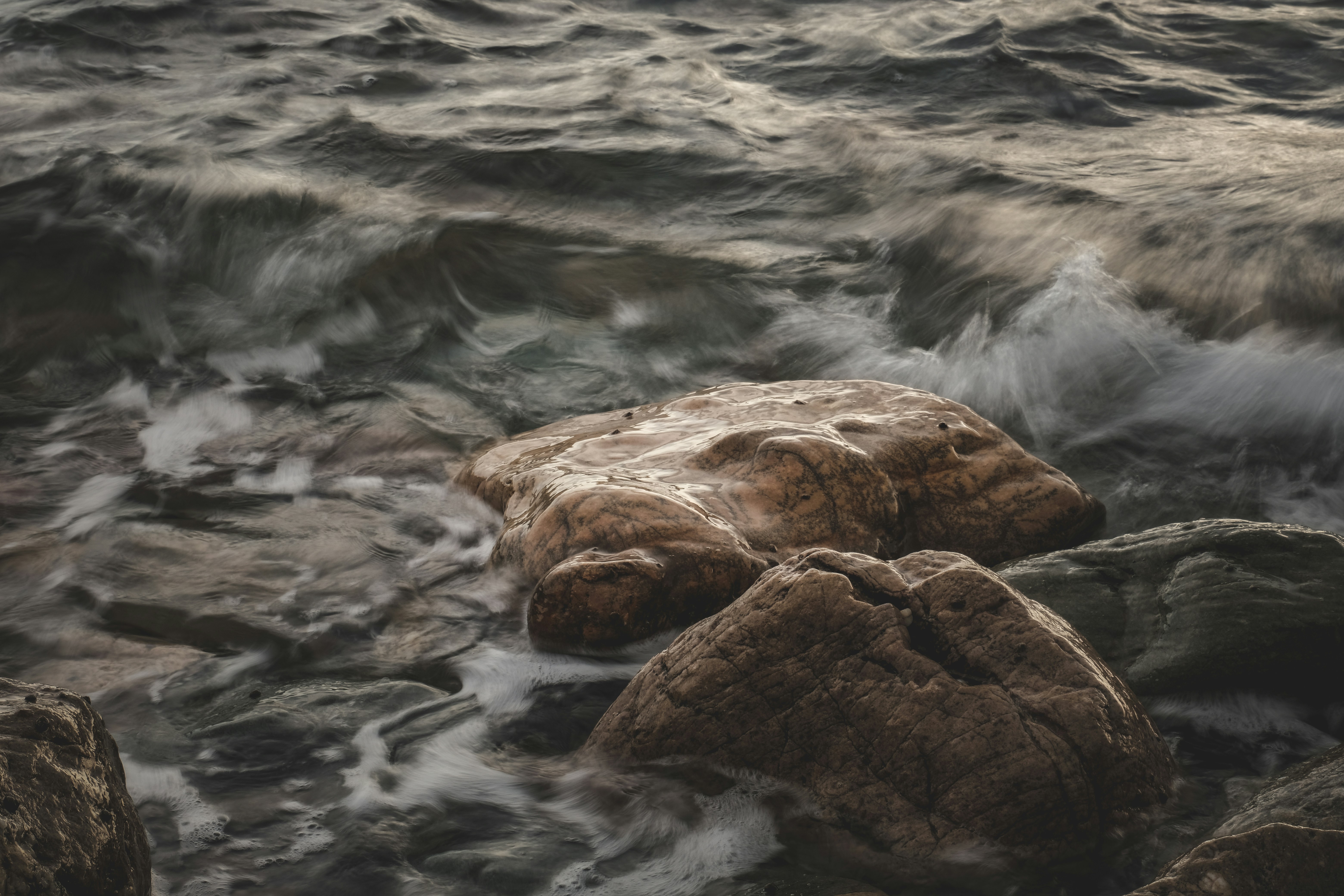 Photo by francesco_ungaro