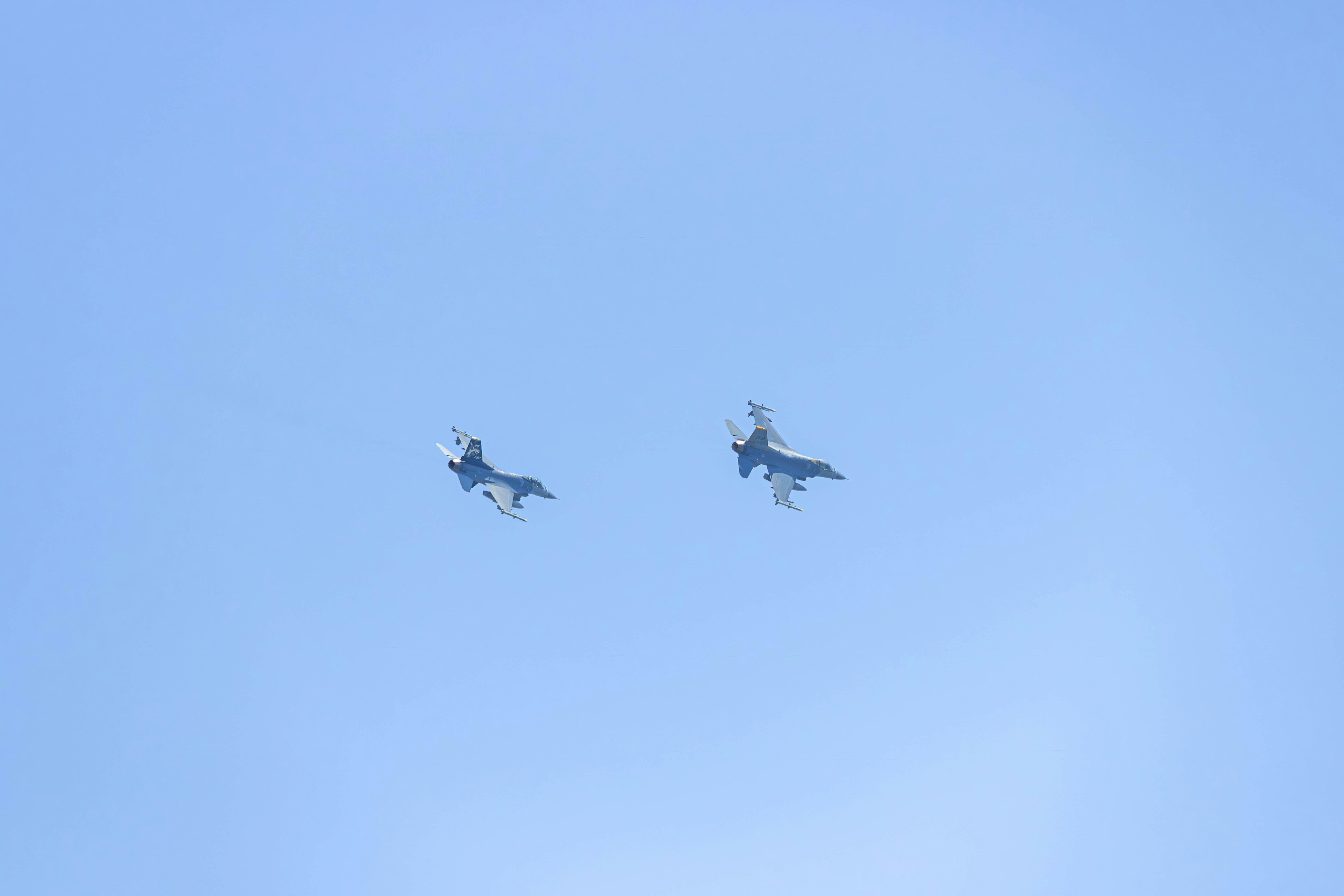 청와대 셔틀버스 노선 및 운행 간격 정리