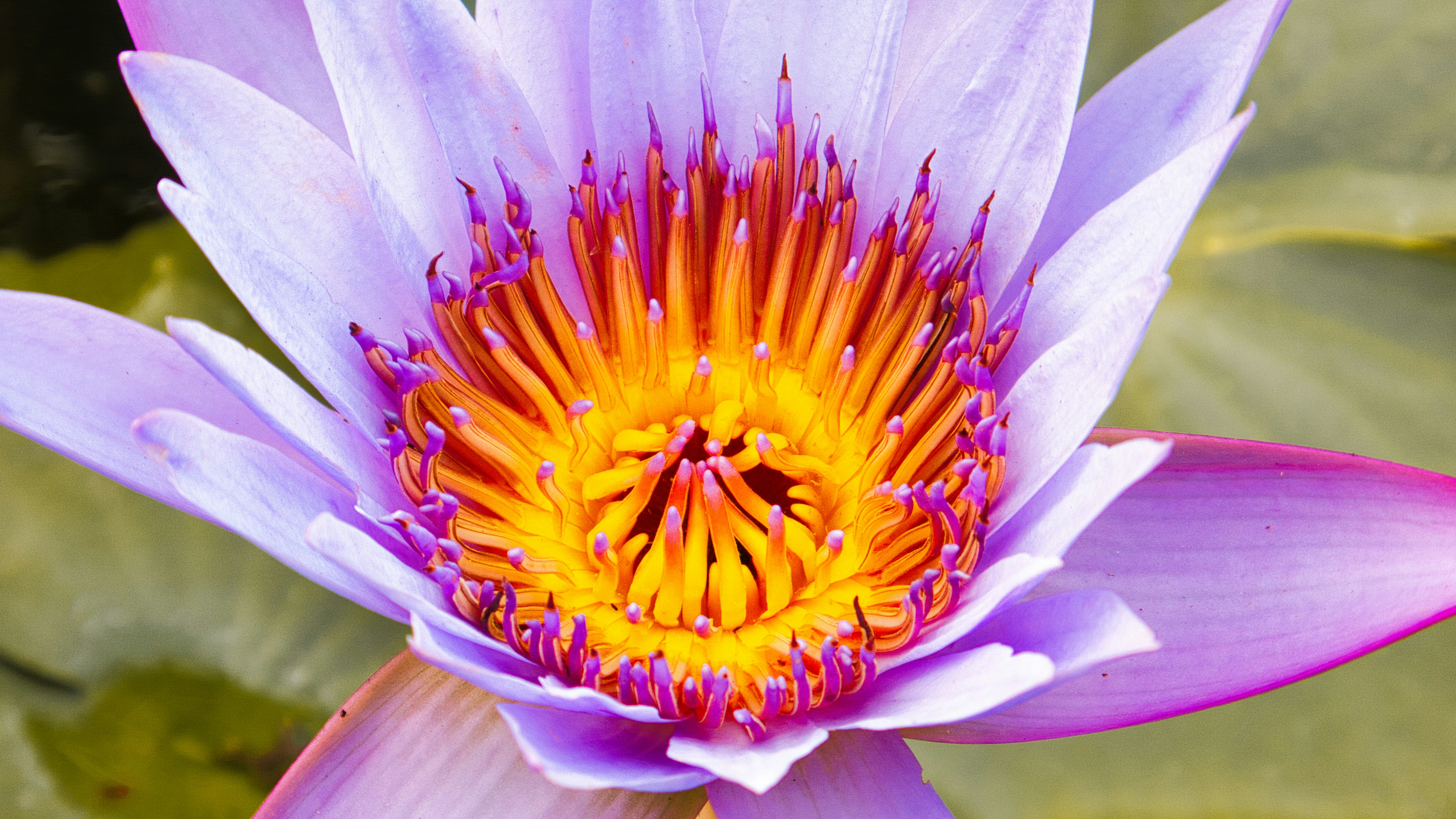 Photo by thomaskinto