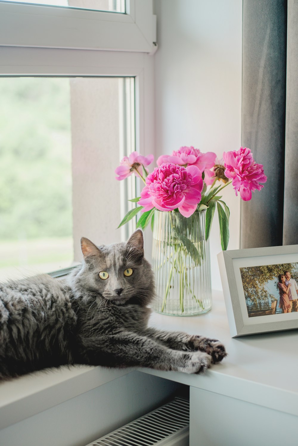 a cat laying on a window sill next to a vase of flowers
