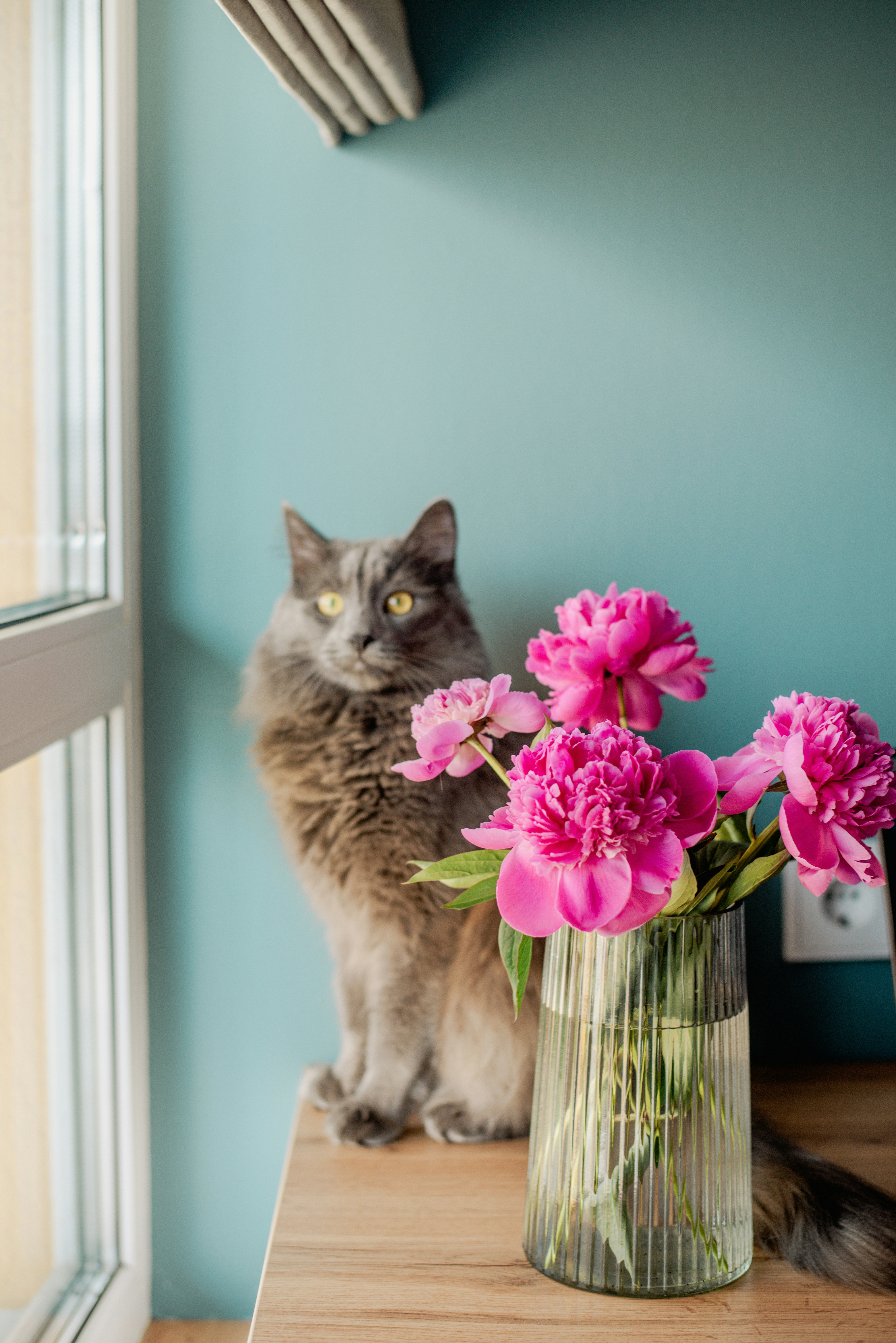 Photo by eugenivy_now