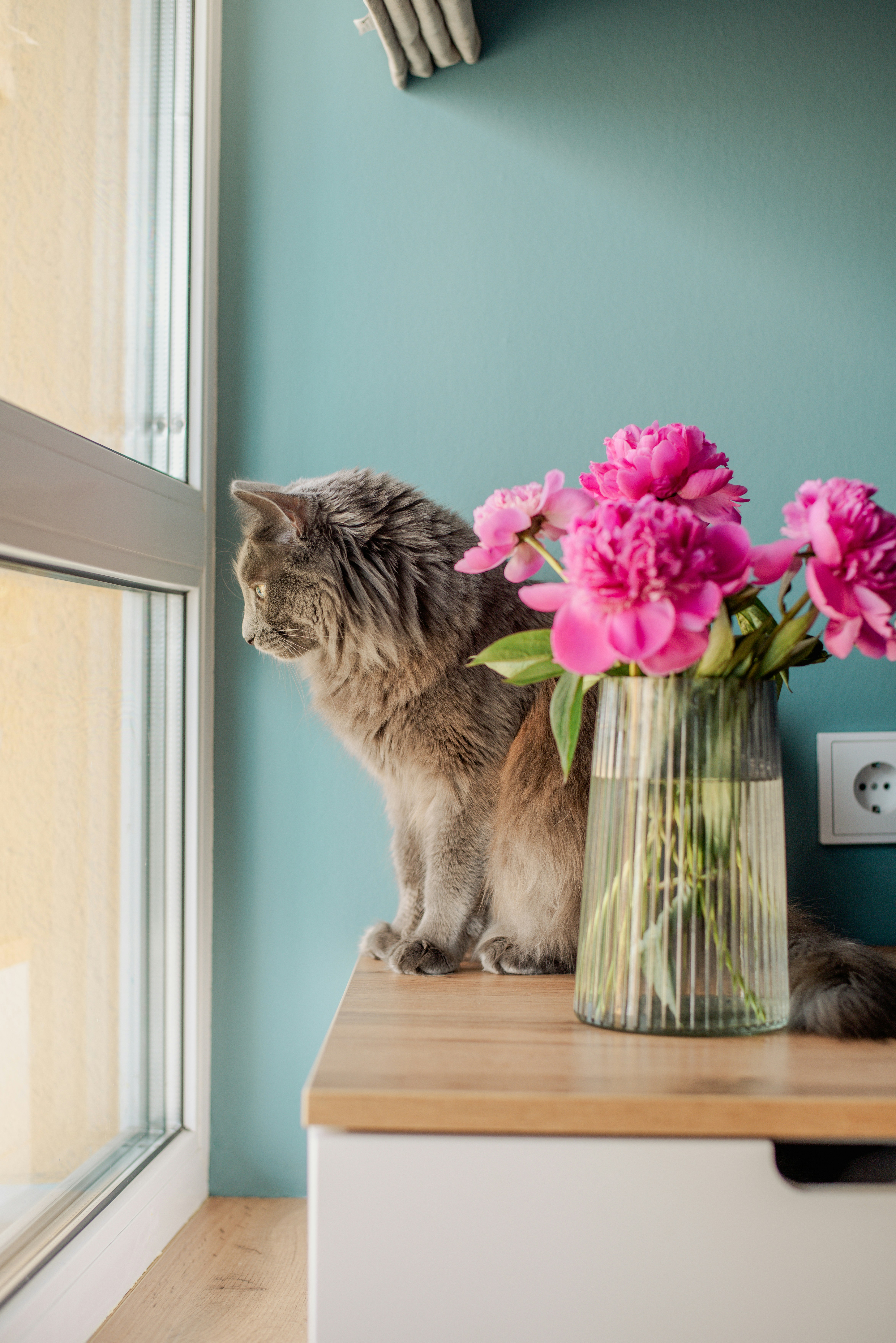 Photo by eugenivy_now