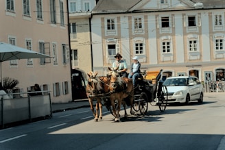 a couple of men riding on the back of a horse drawn carriage