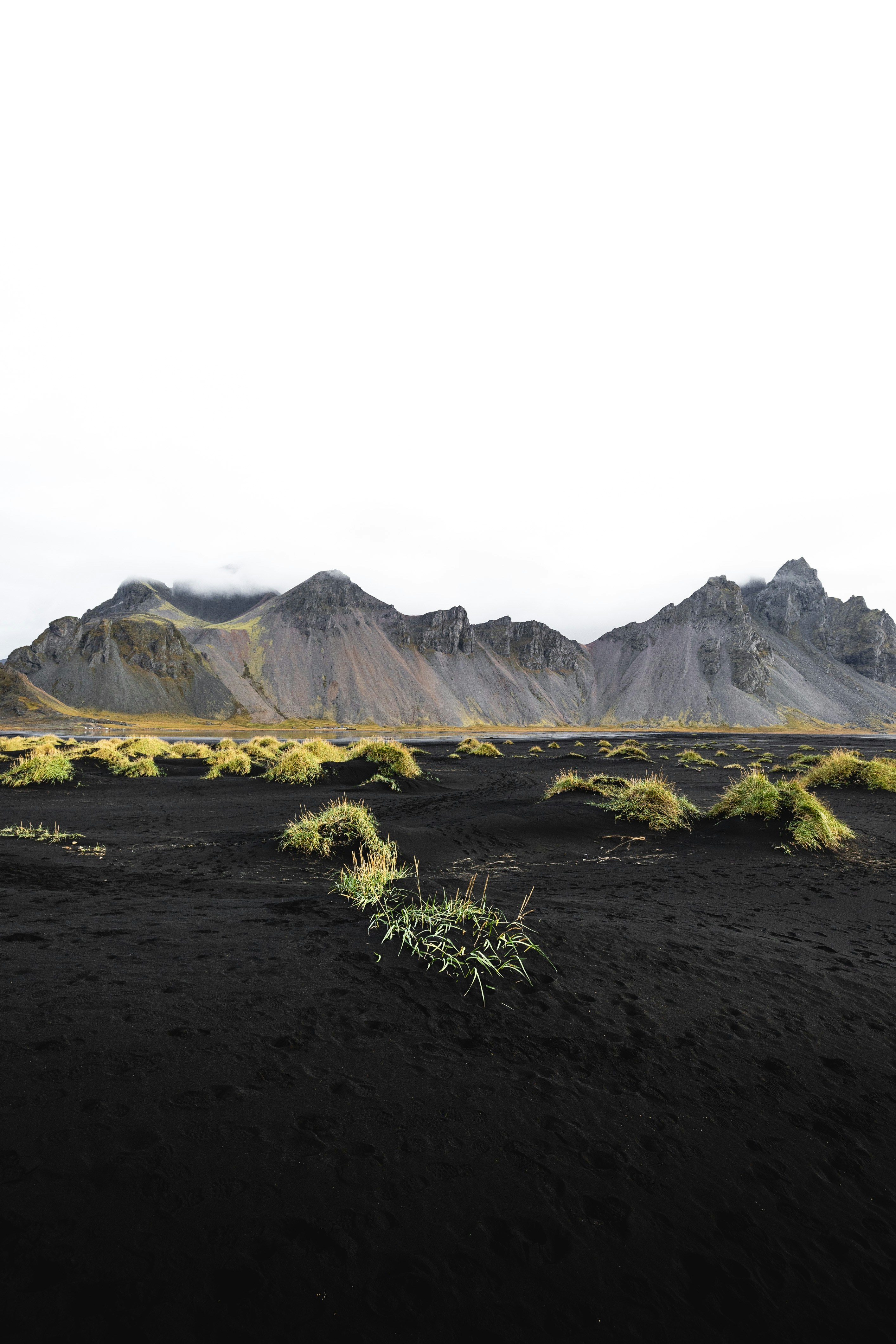 Synergistic effects of integrated cognitive strategies