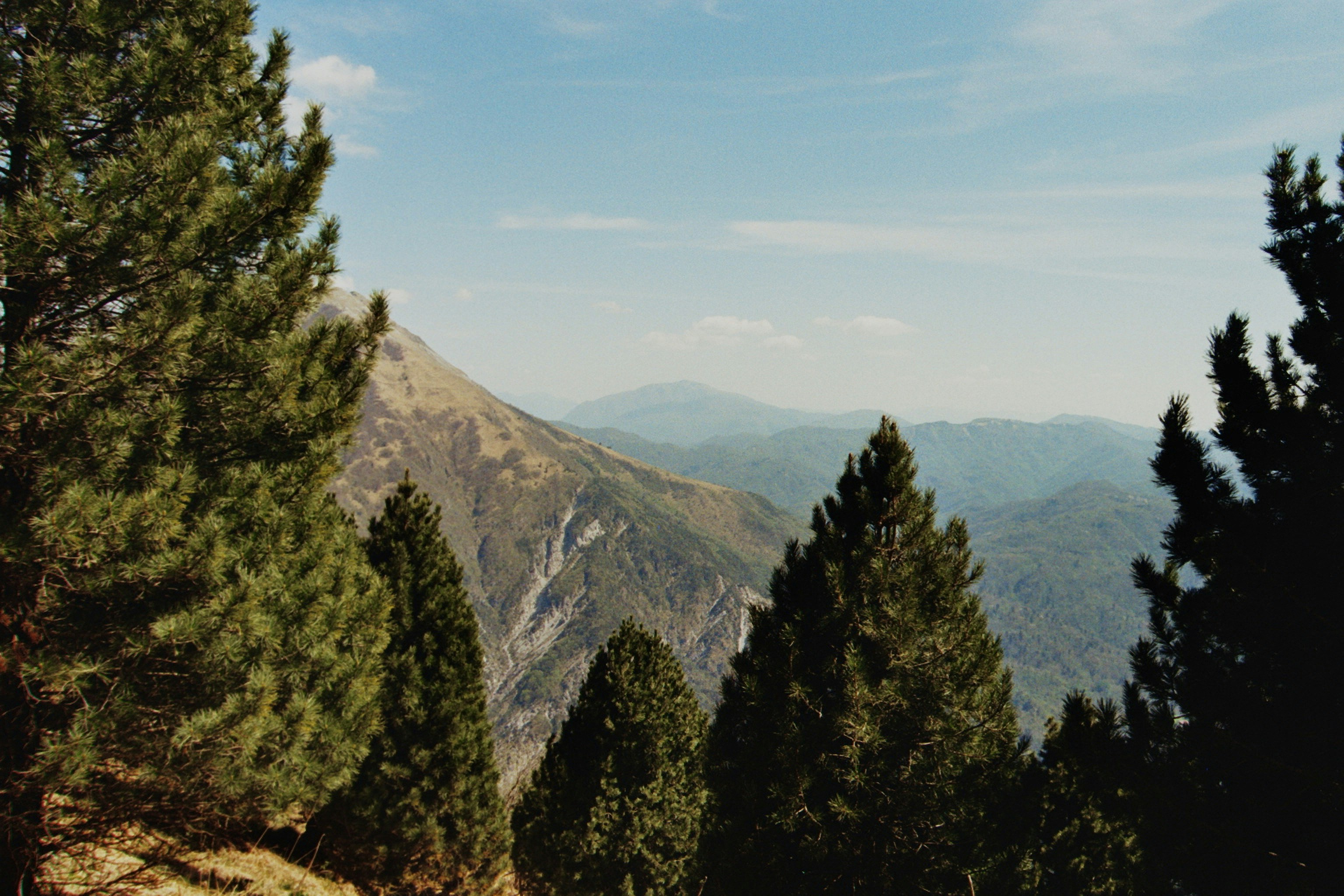 Photo by sandvinicus