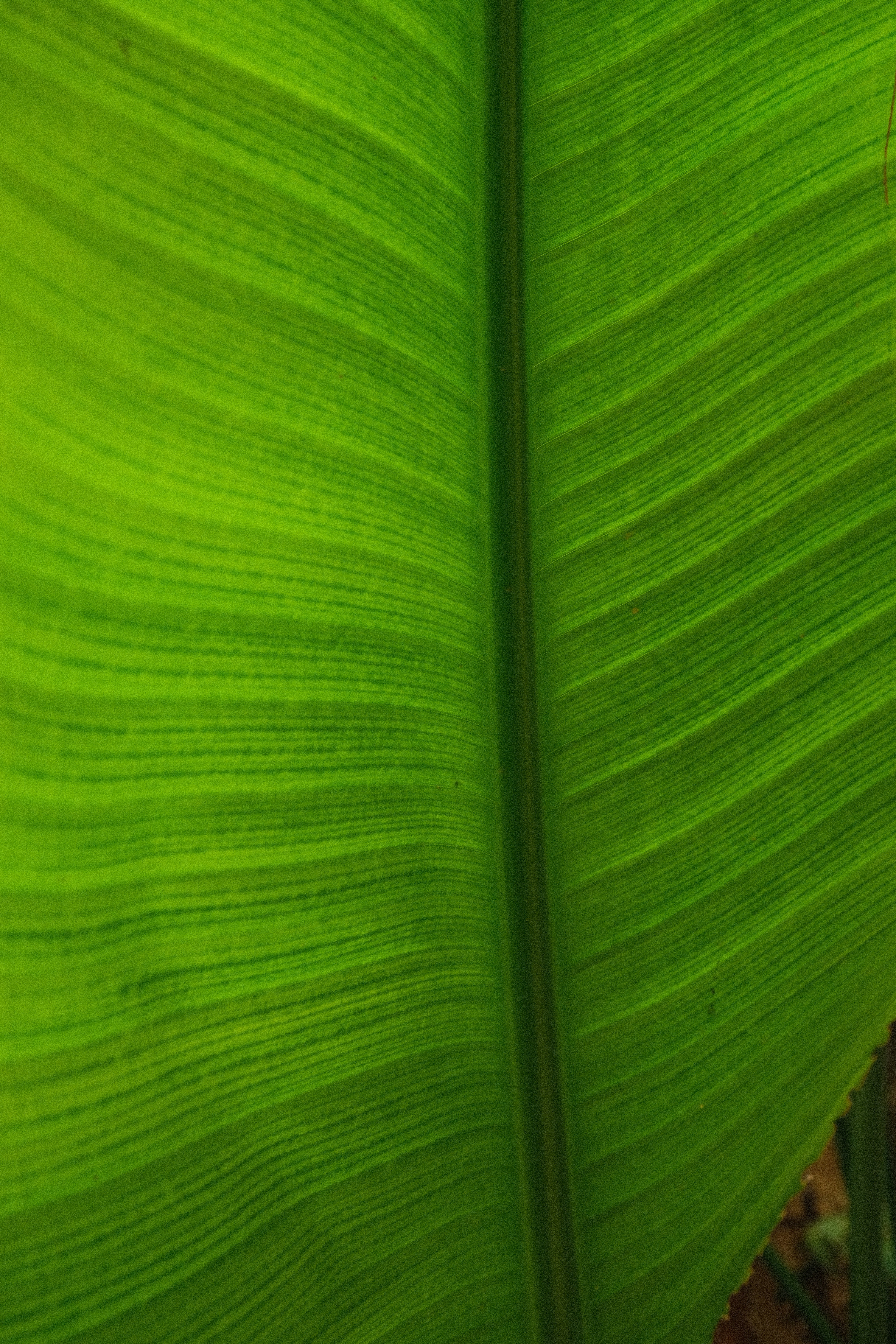 Photo by thesilvafocus