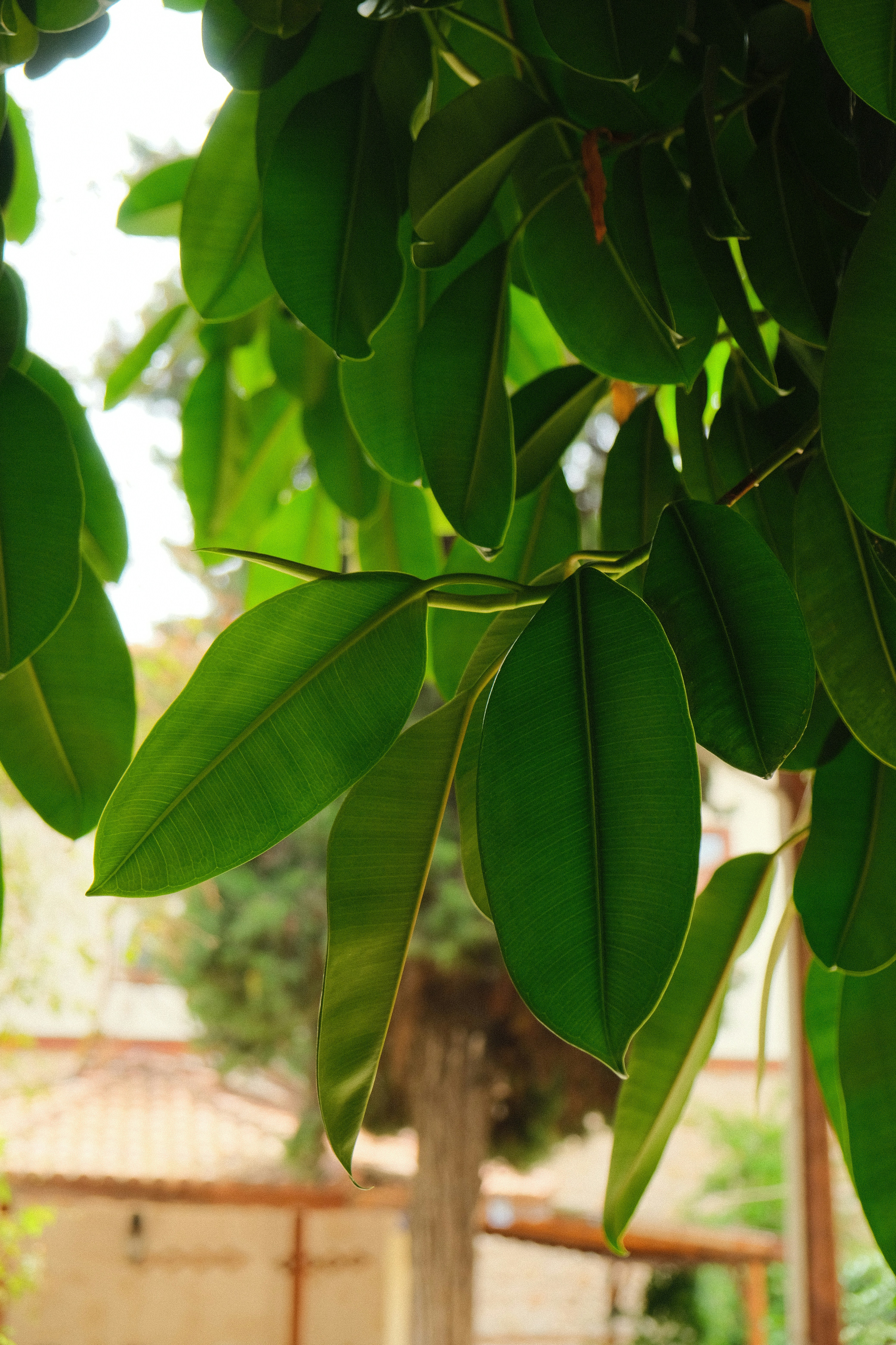 Photo by thesilvafocus