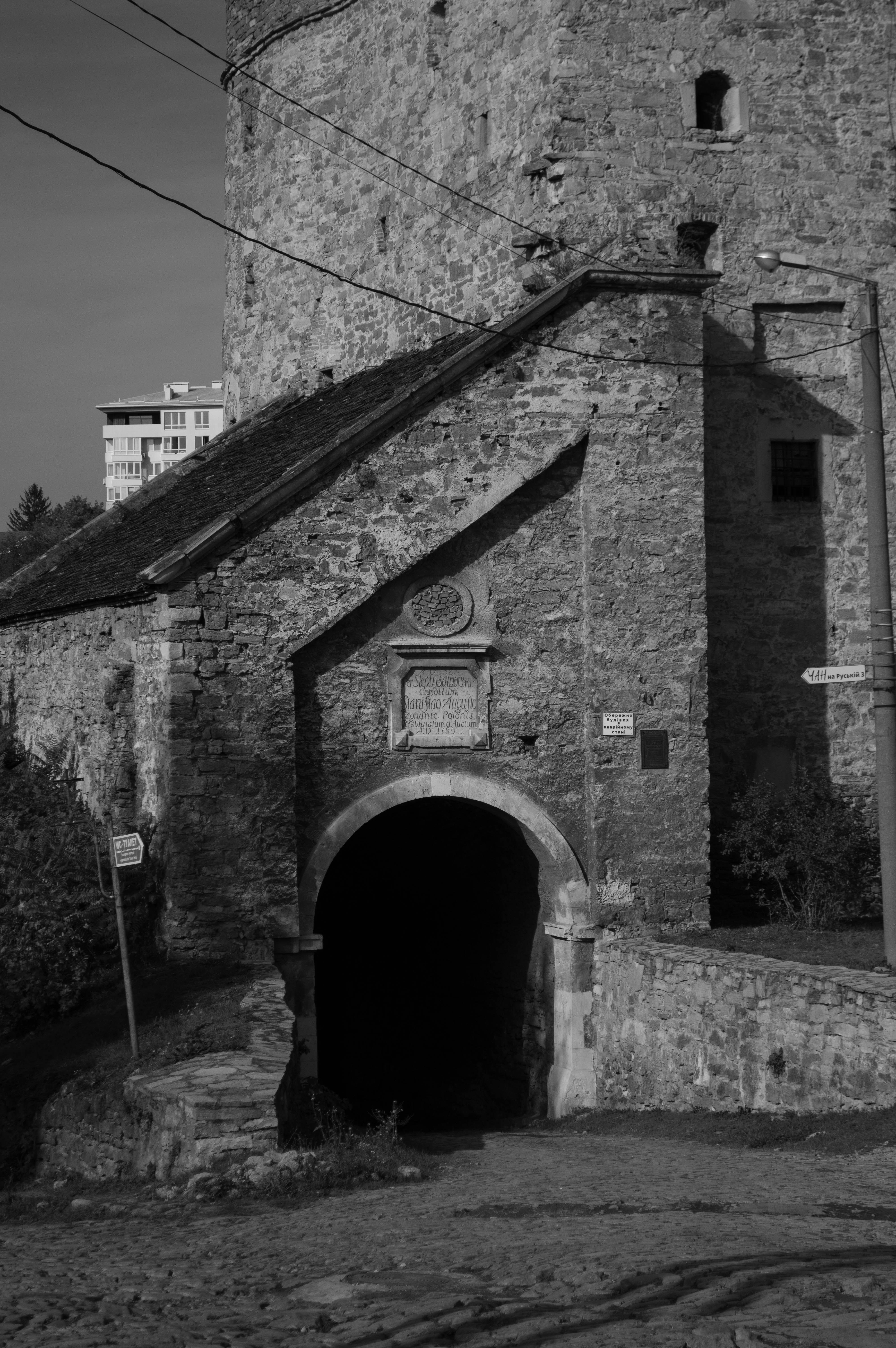 Photo by dmytrodovgan