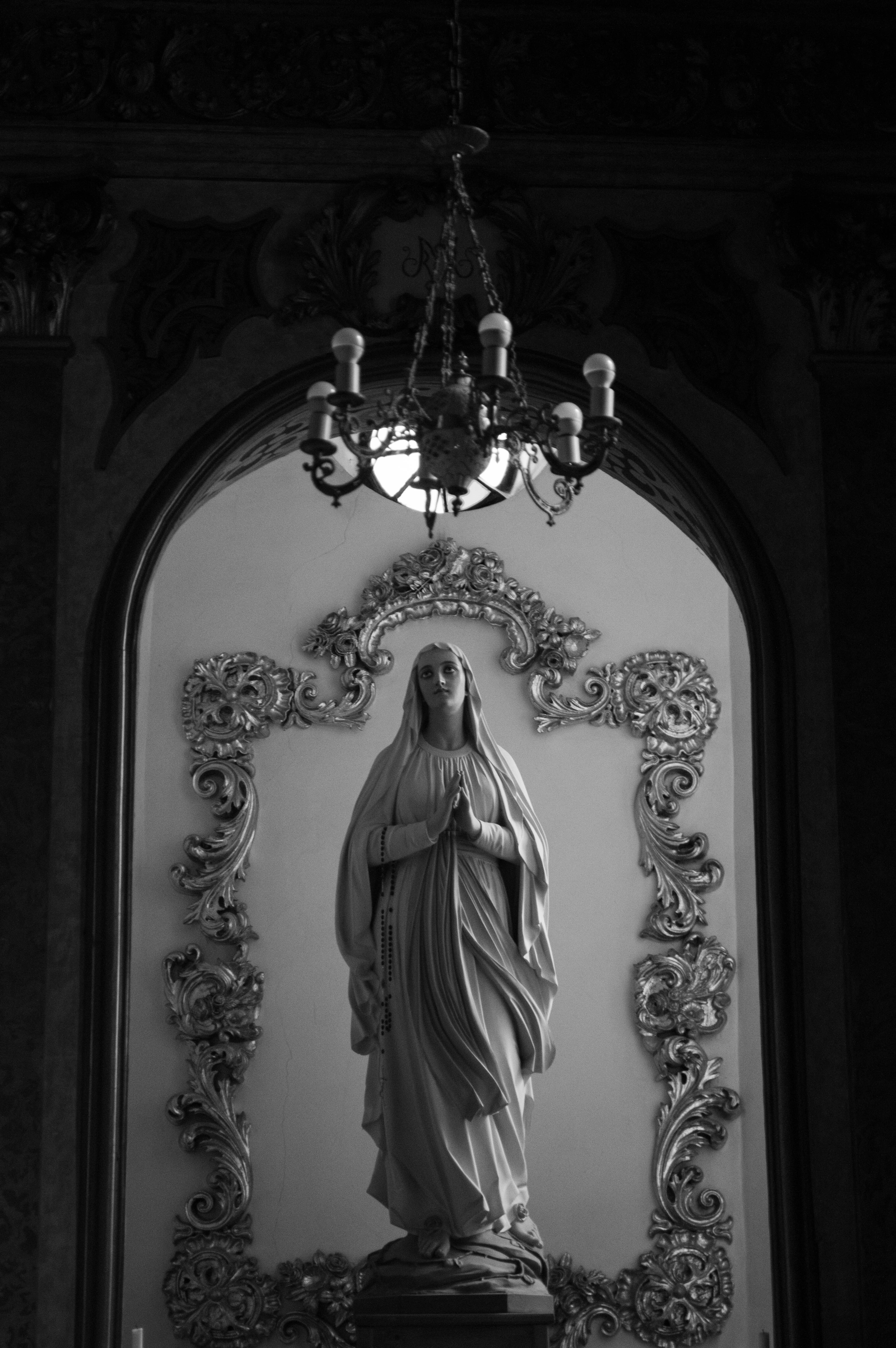 Photo by dmytrodovgan