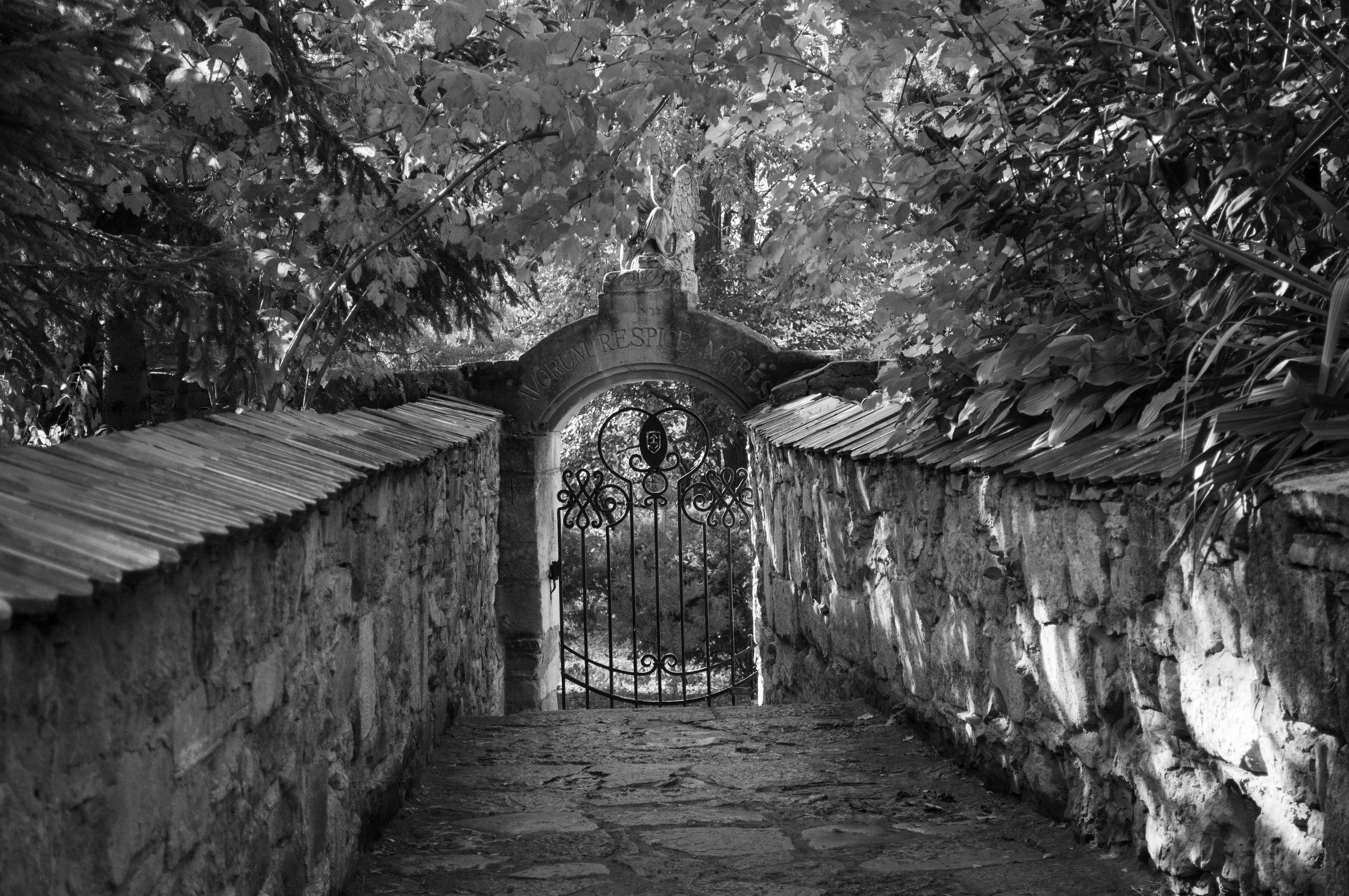 Photo by dmytrodovgan