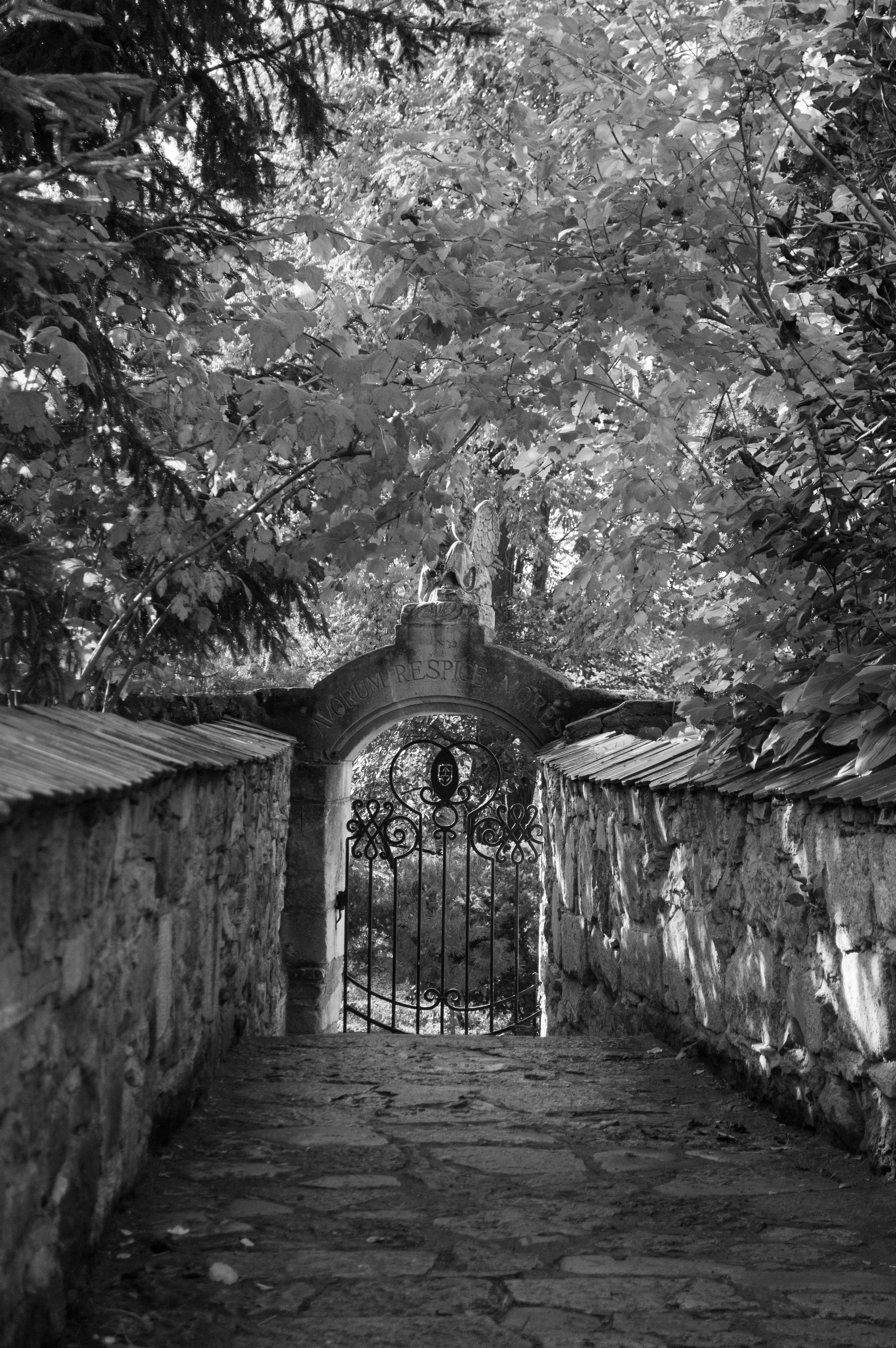 Photo by dmytrodovgan