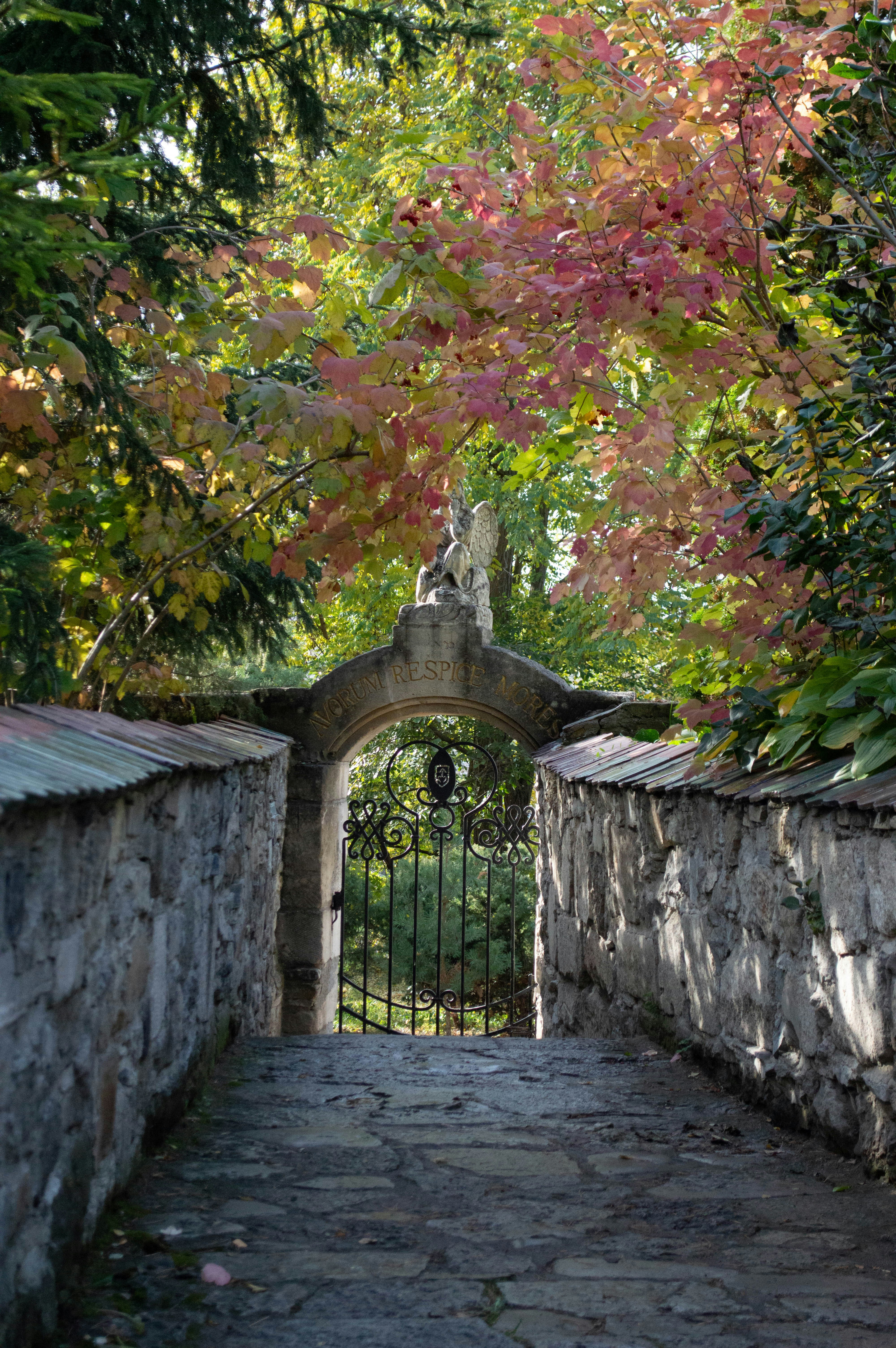 Photo by dmytrodovgan