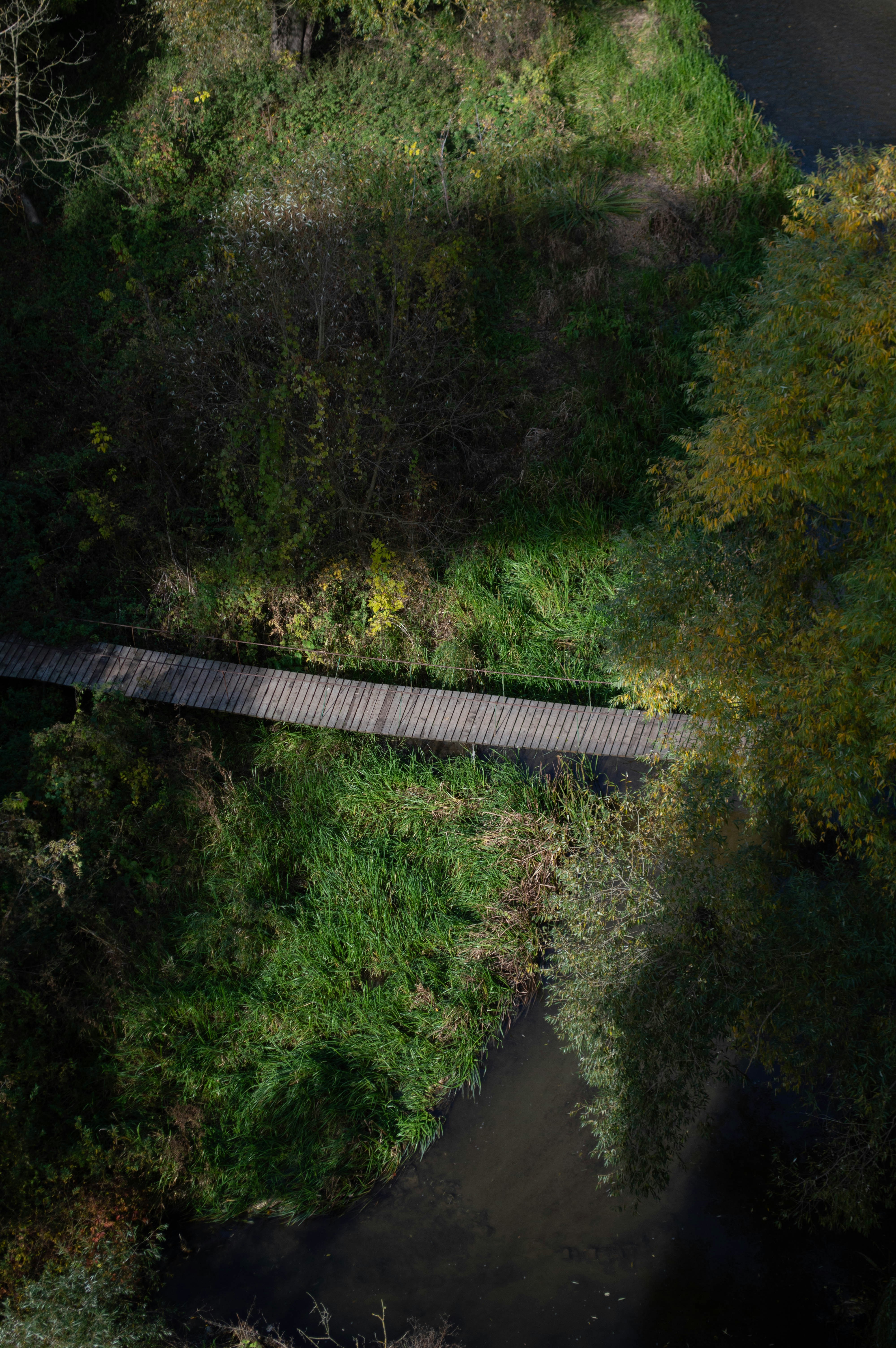 Photo by dmytrodovgan