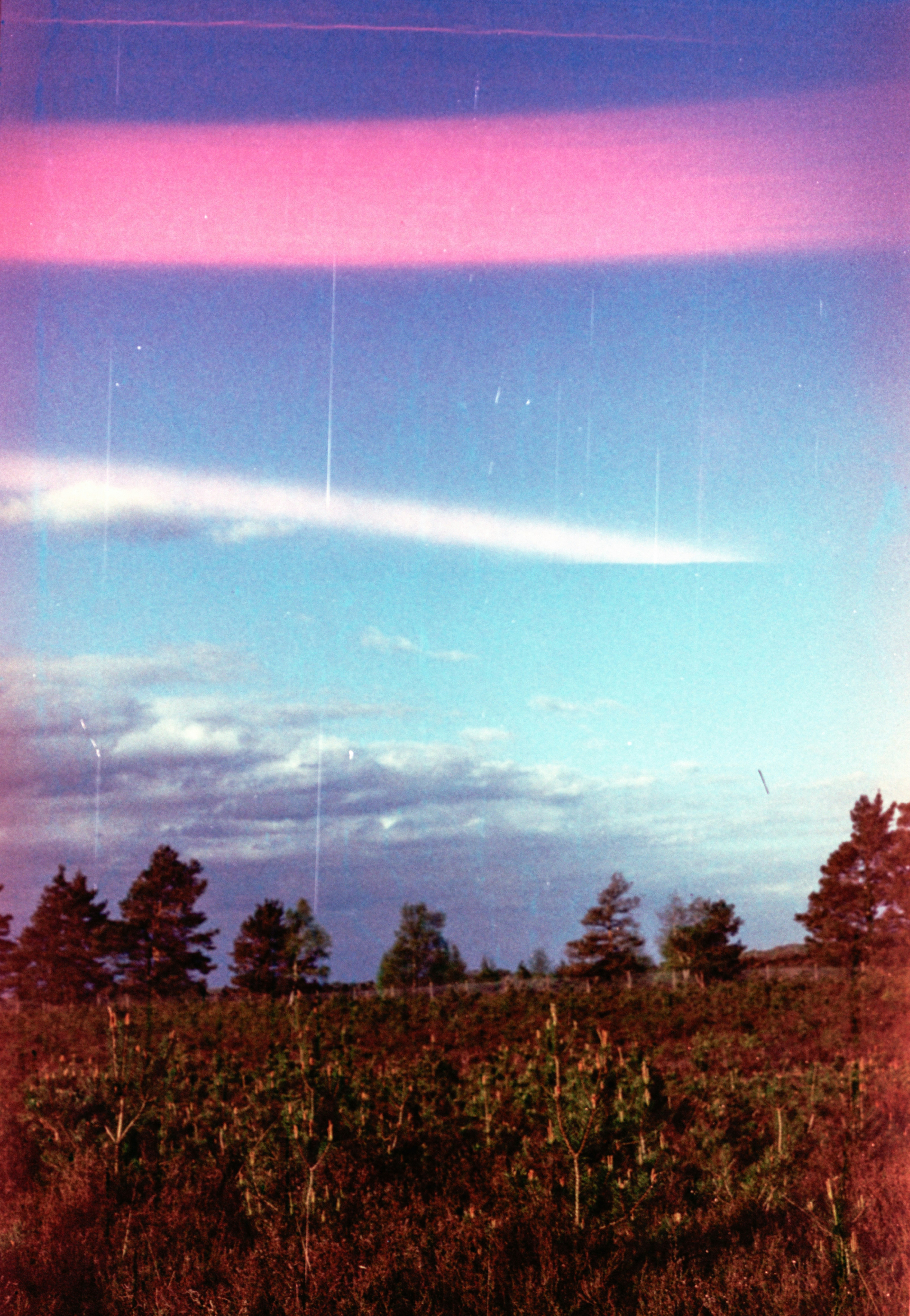 Photo by anniespratt