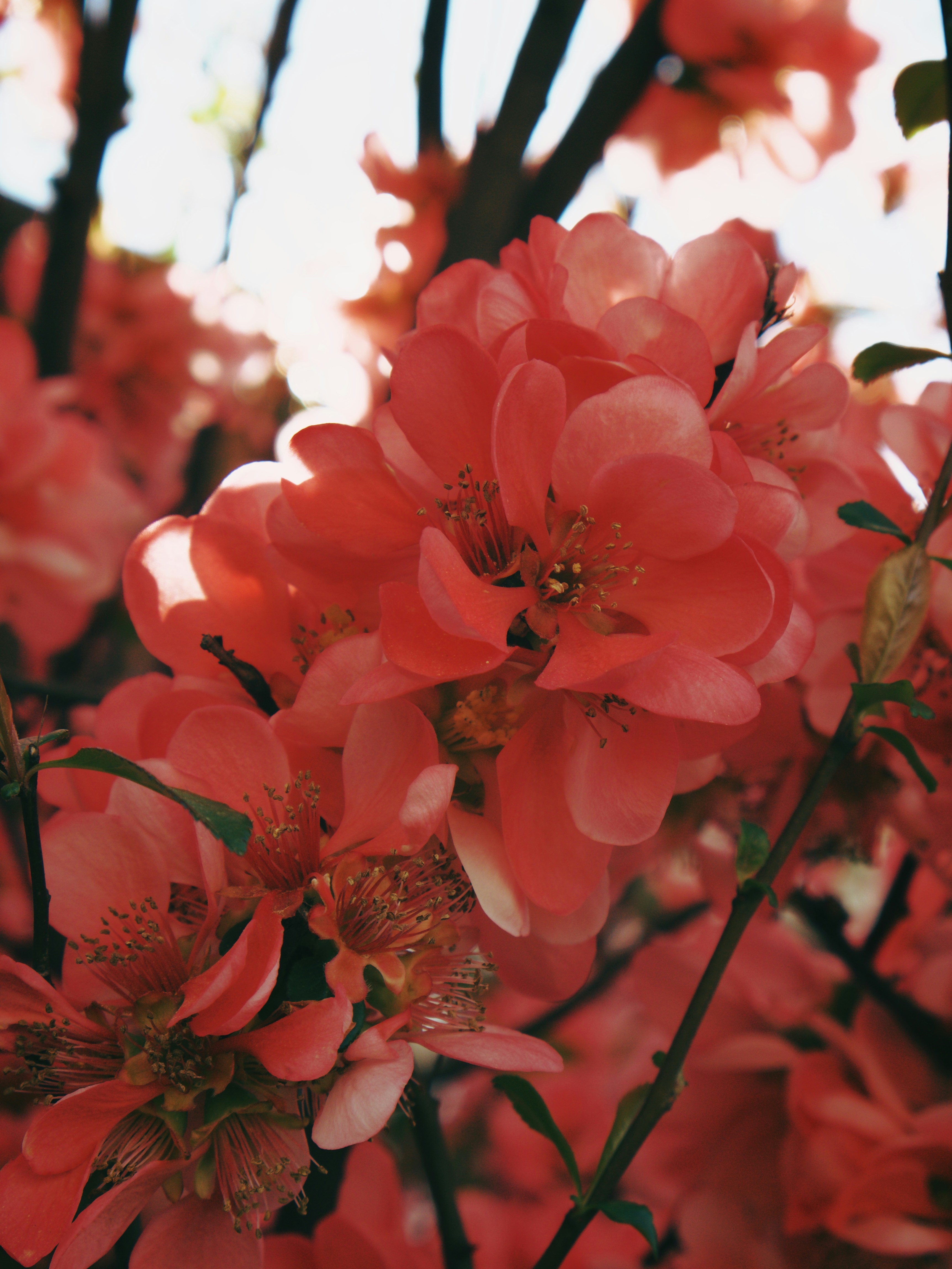 Photo by andrei25_jpg