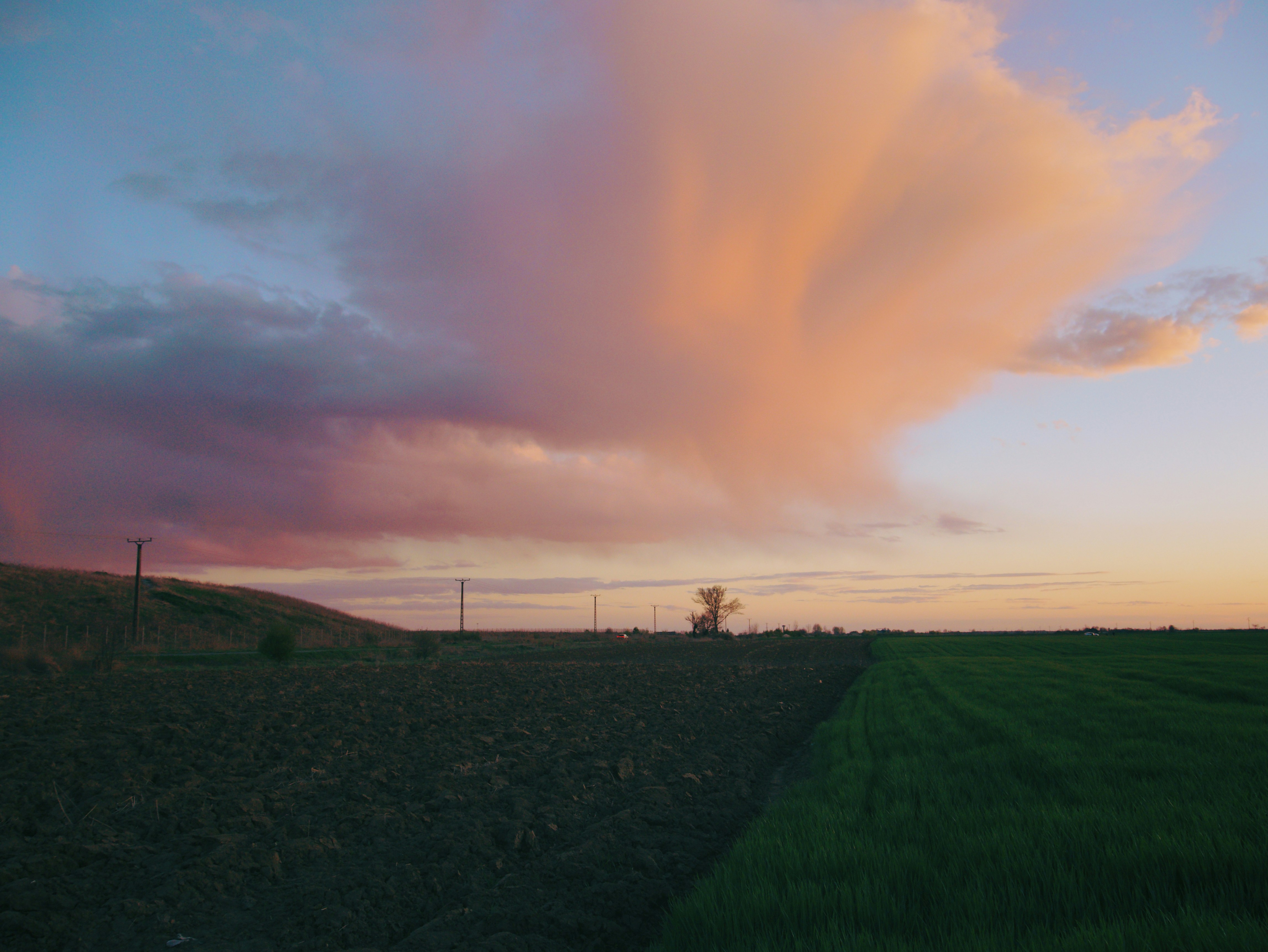 Photo by andrei25_jpg