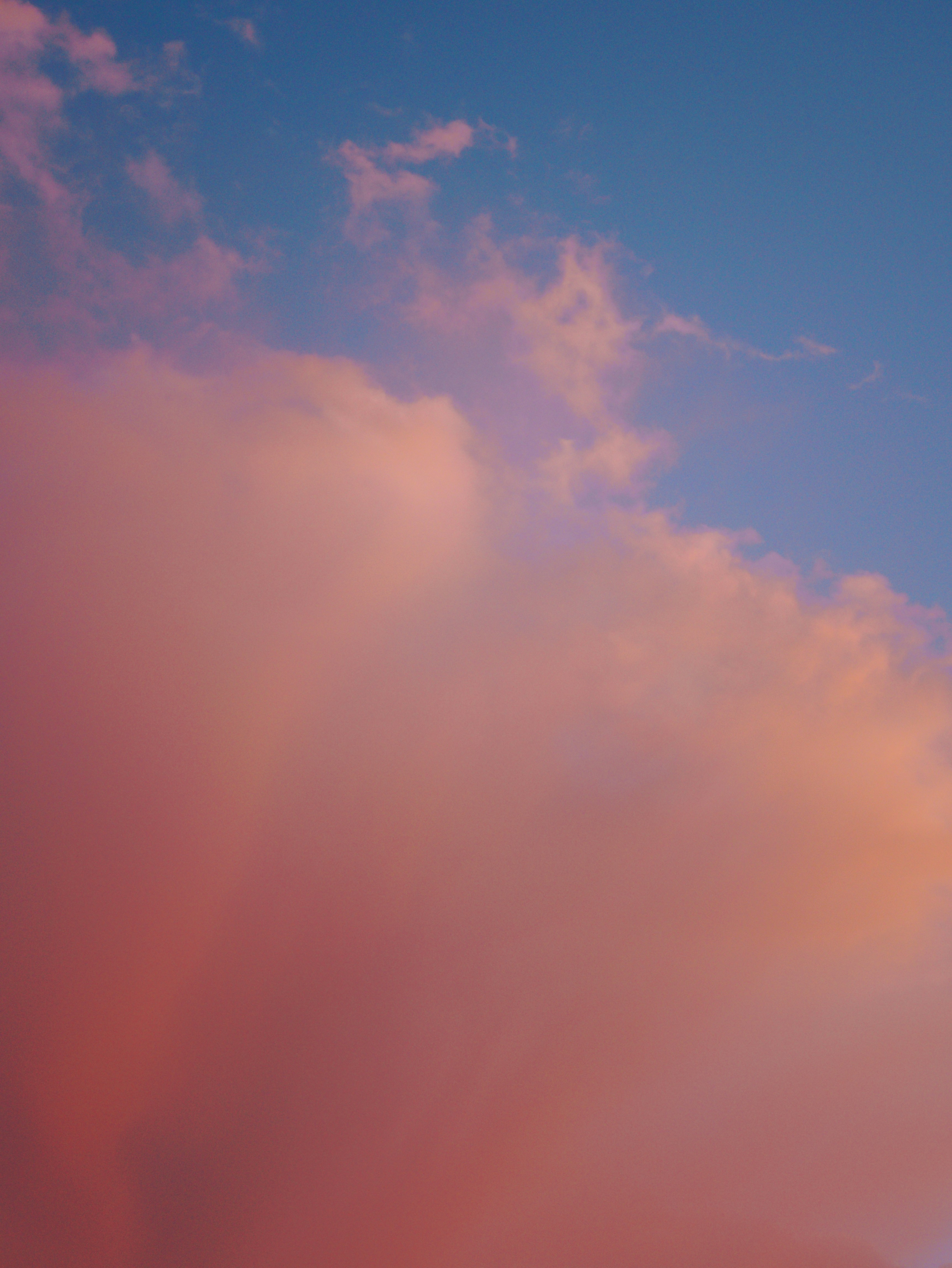 Photo by andrei25_jpg