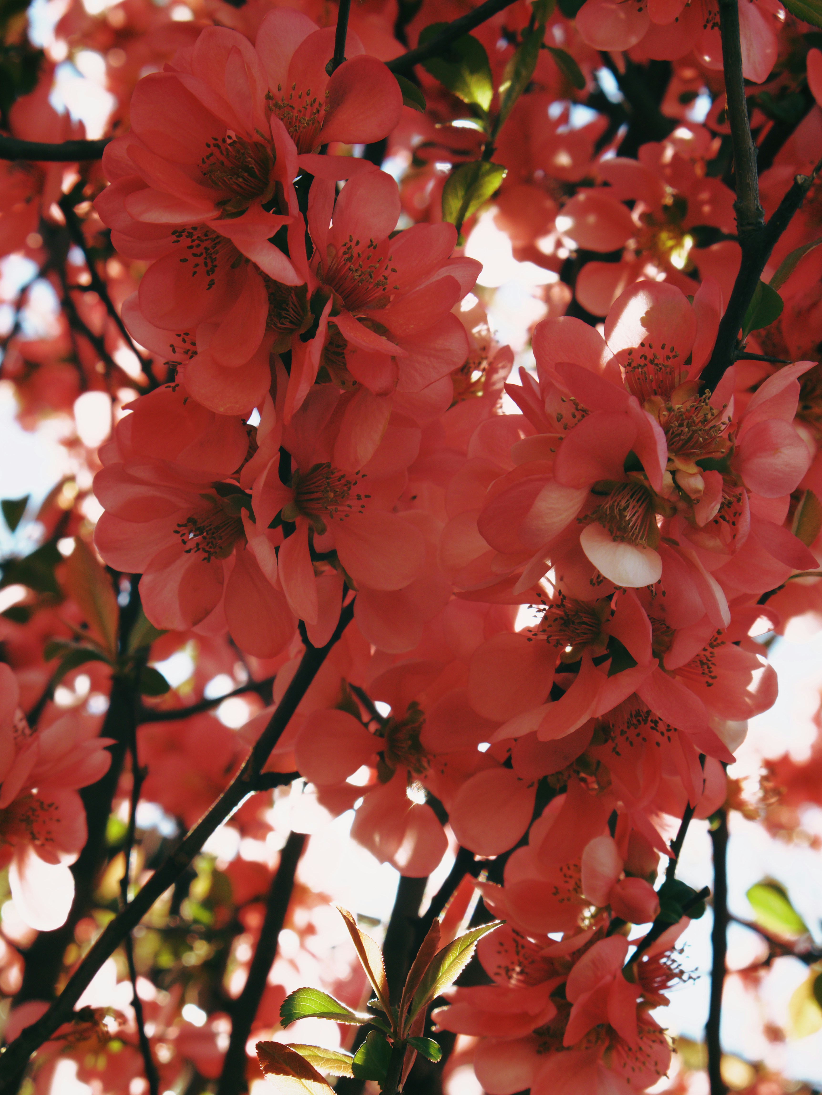 Photo by andrei25_jpg