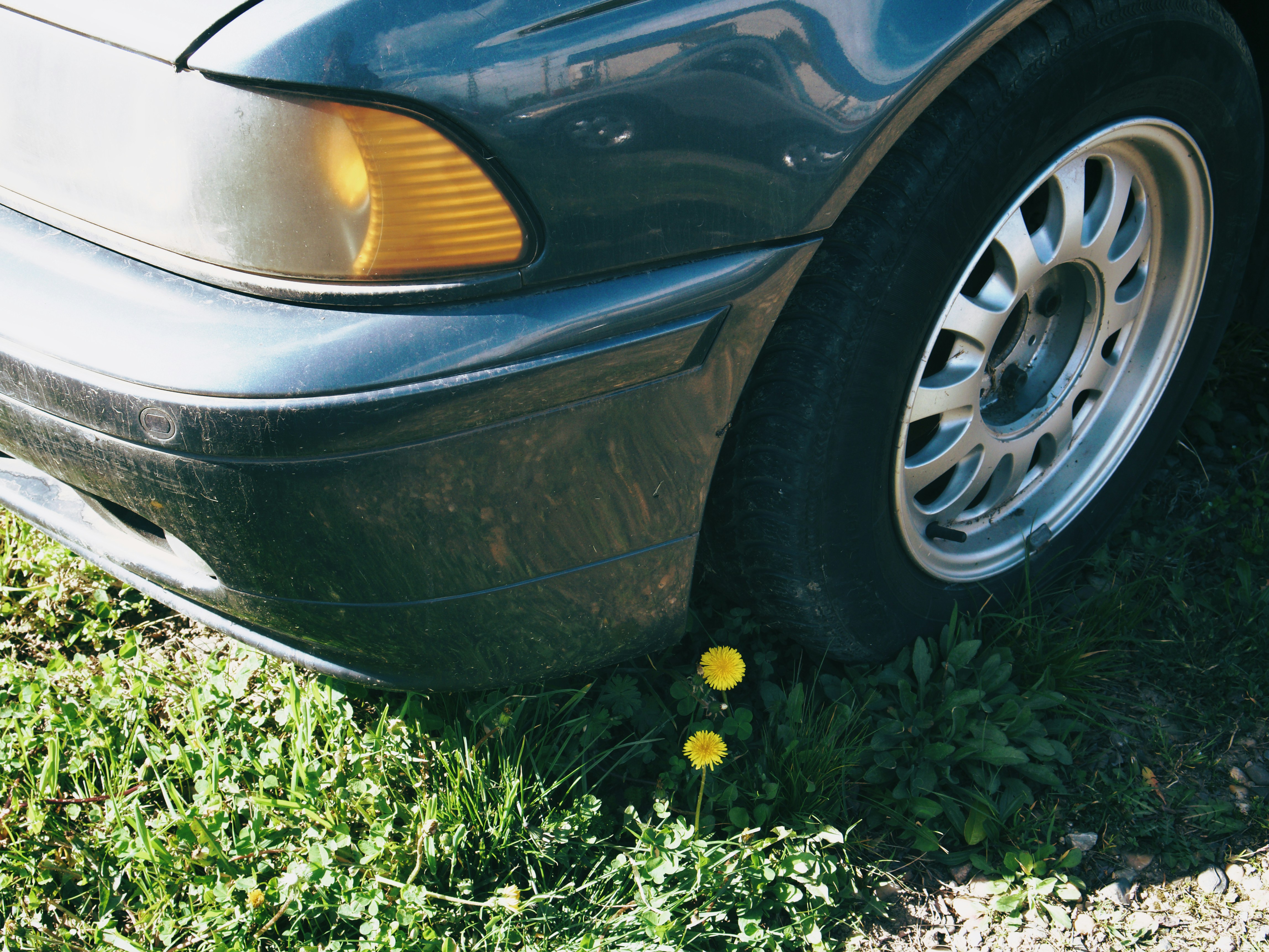 Photo by andrei25_jpg