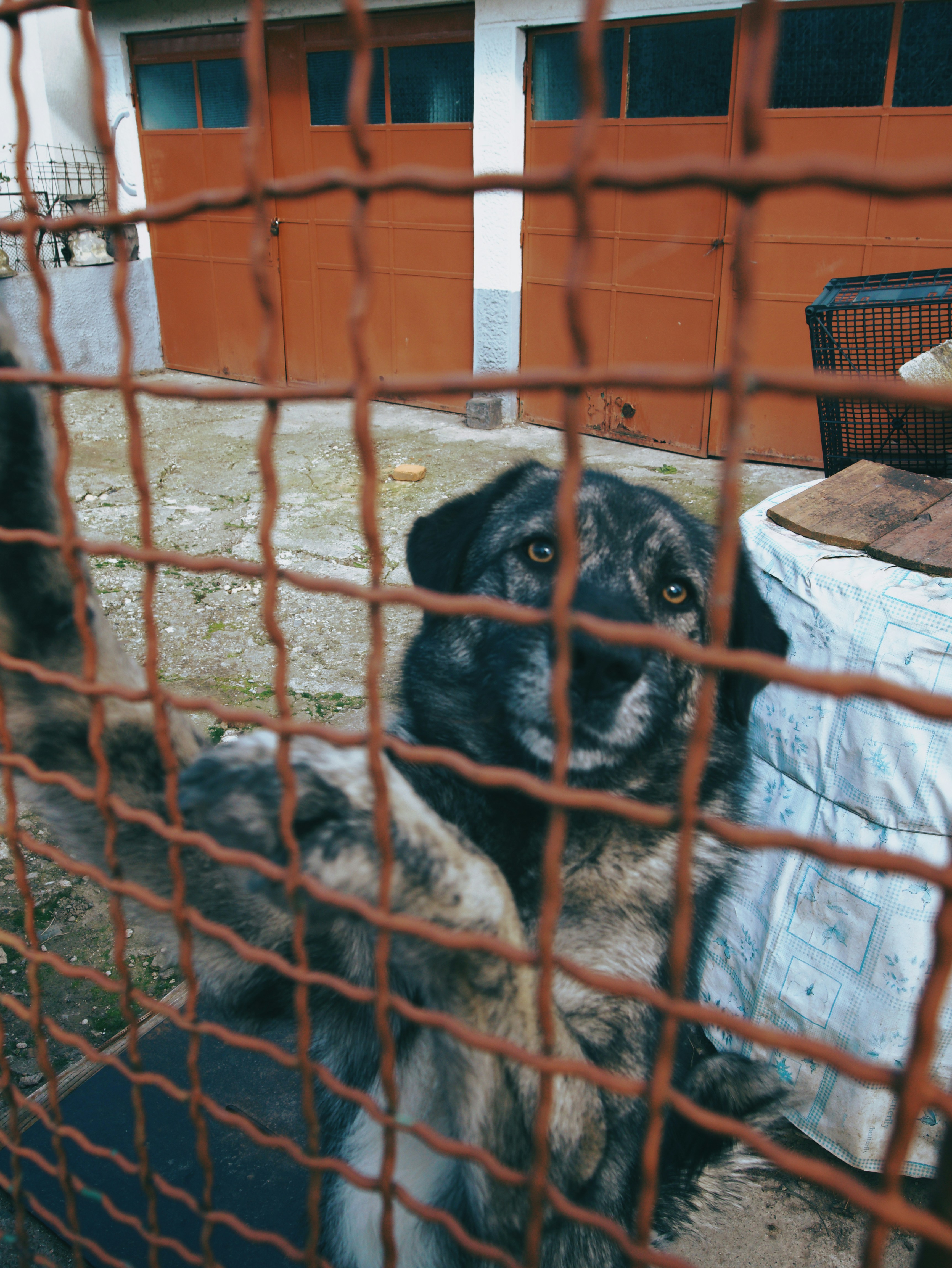 Photo by andrei25_jpg