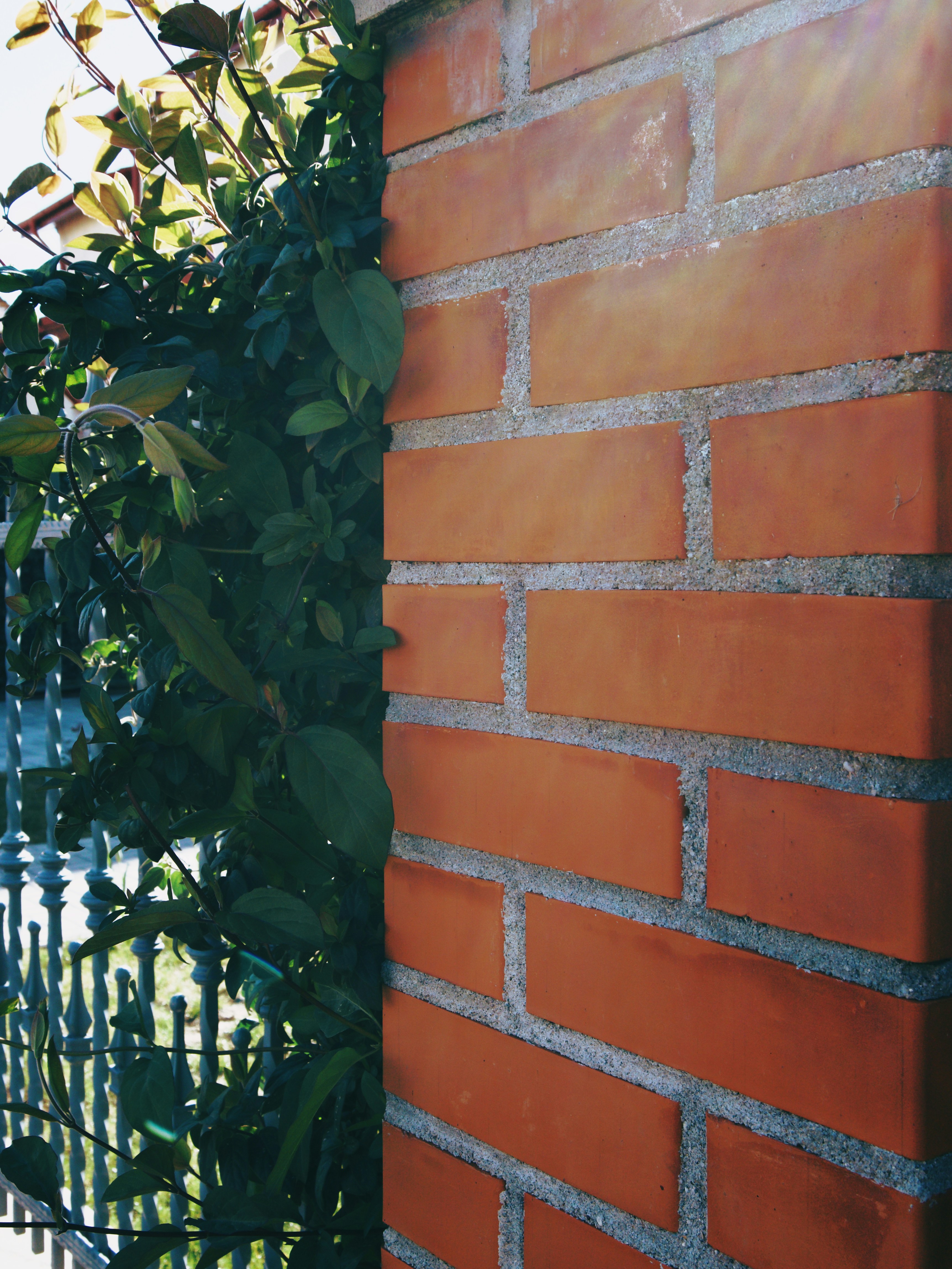 Maintaining interlocking driveway bricks