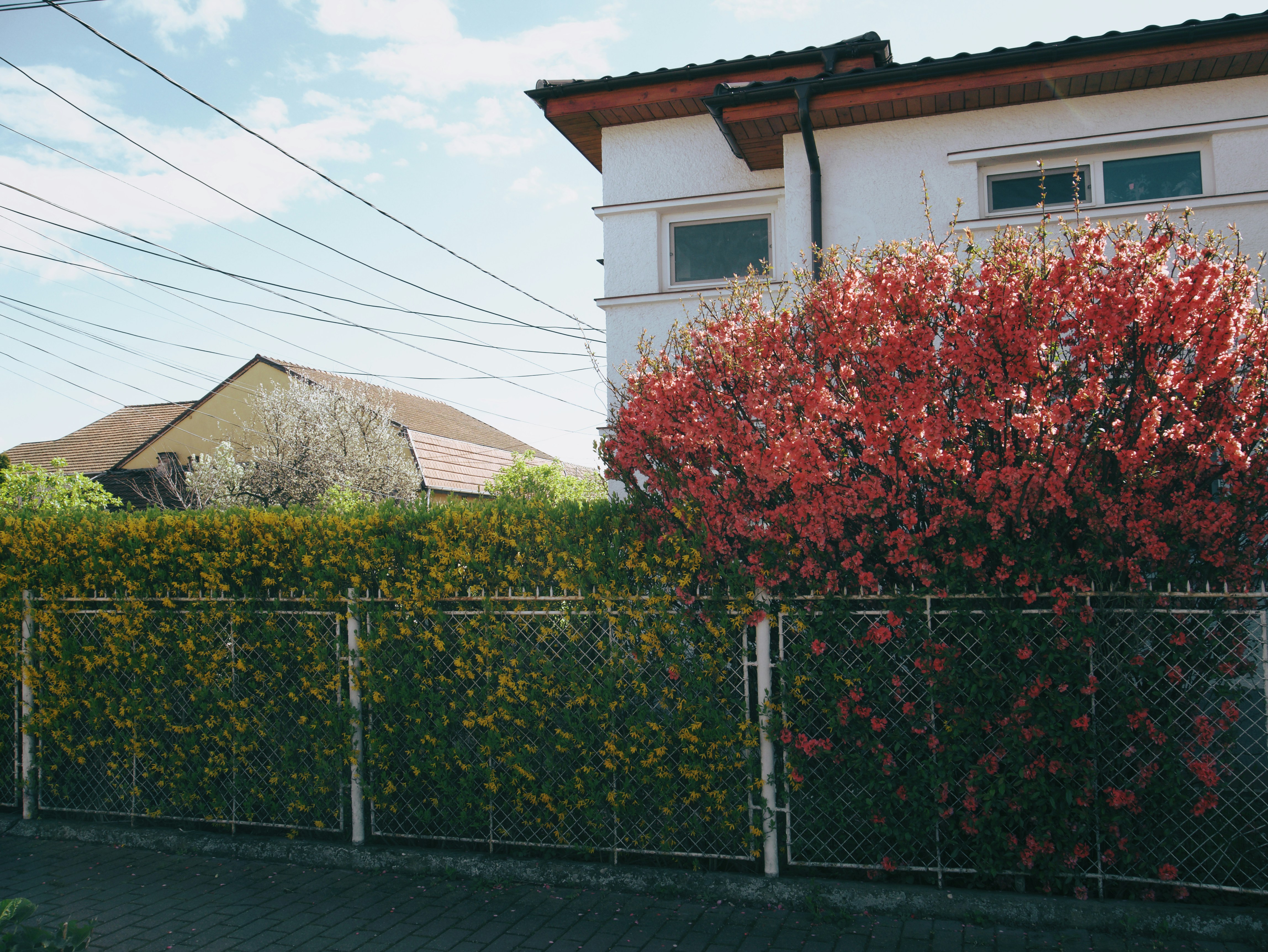 Photo by andrei25_jpg