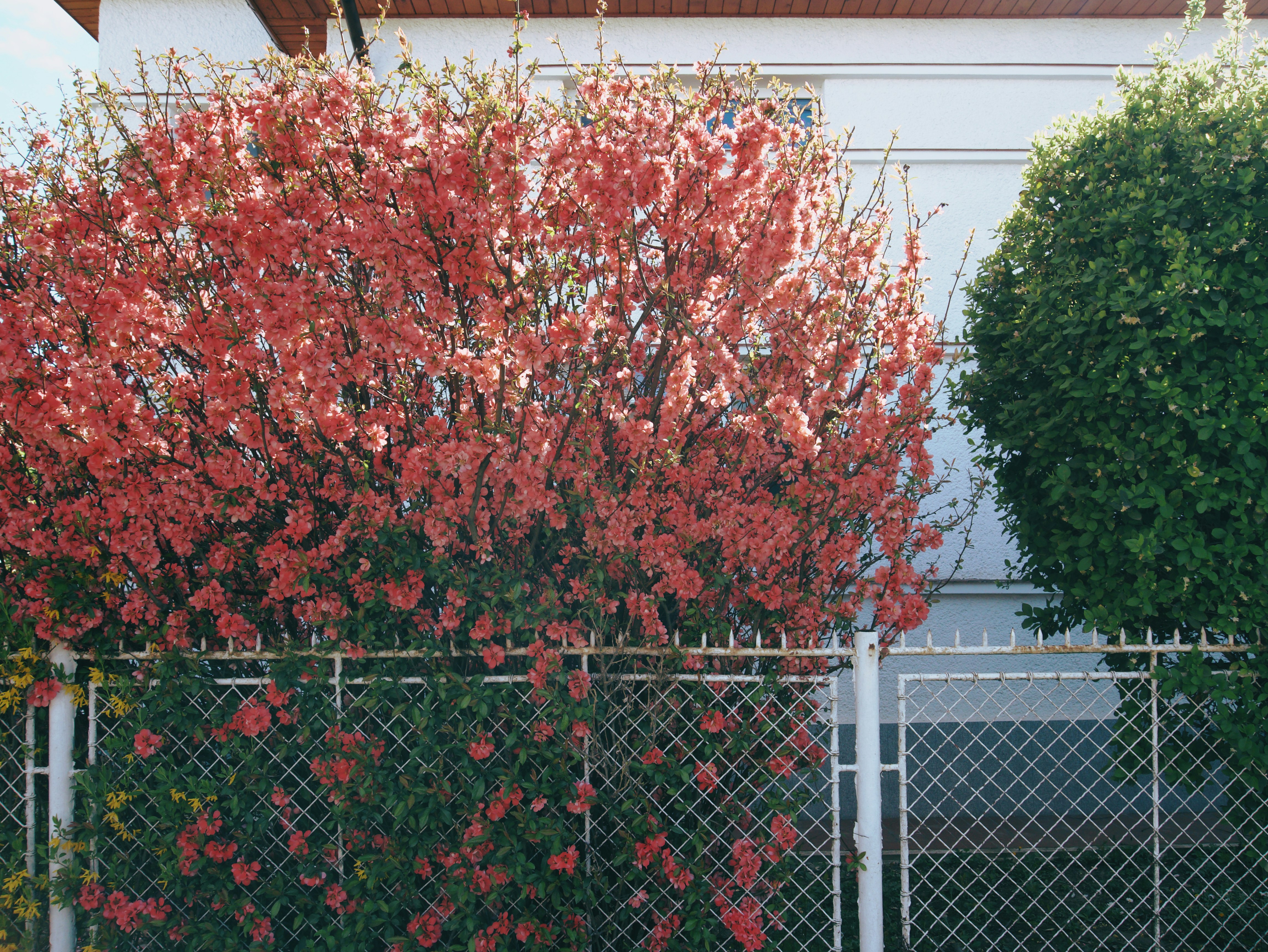 Photo by andrei25_jpg