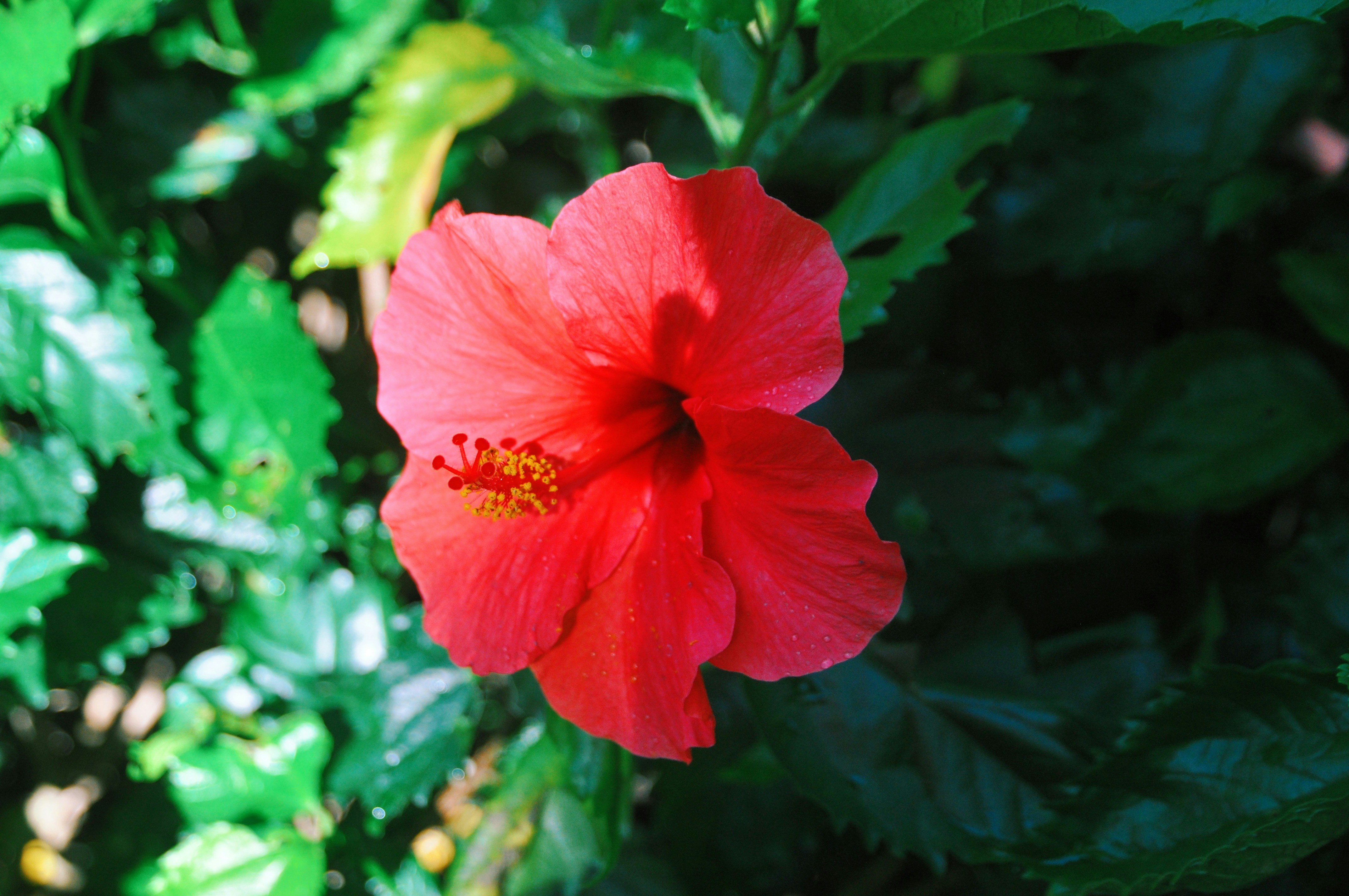 Photo by henrylihao525