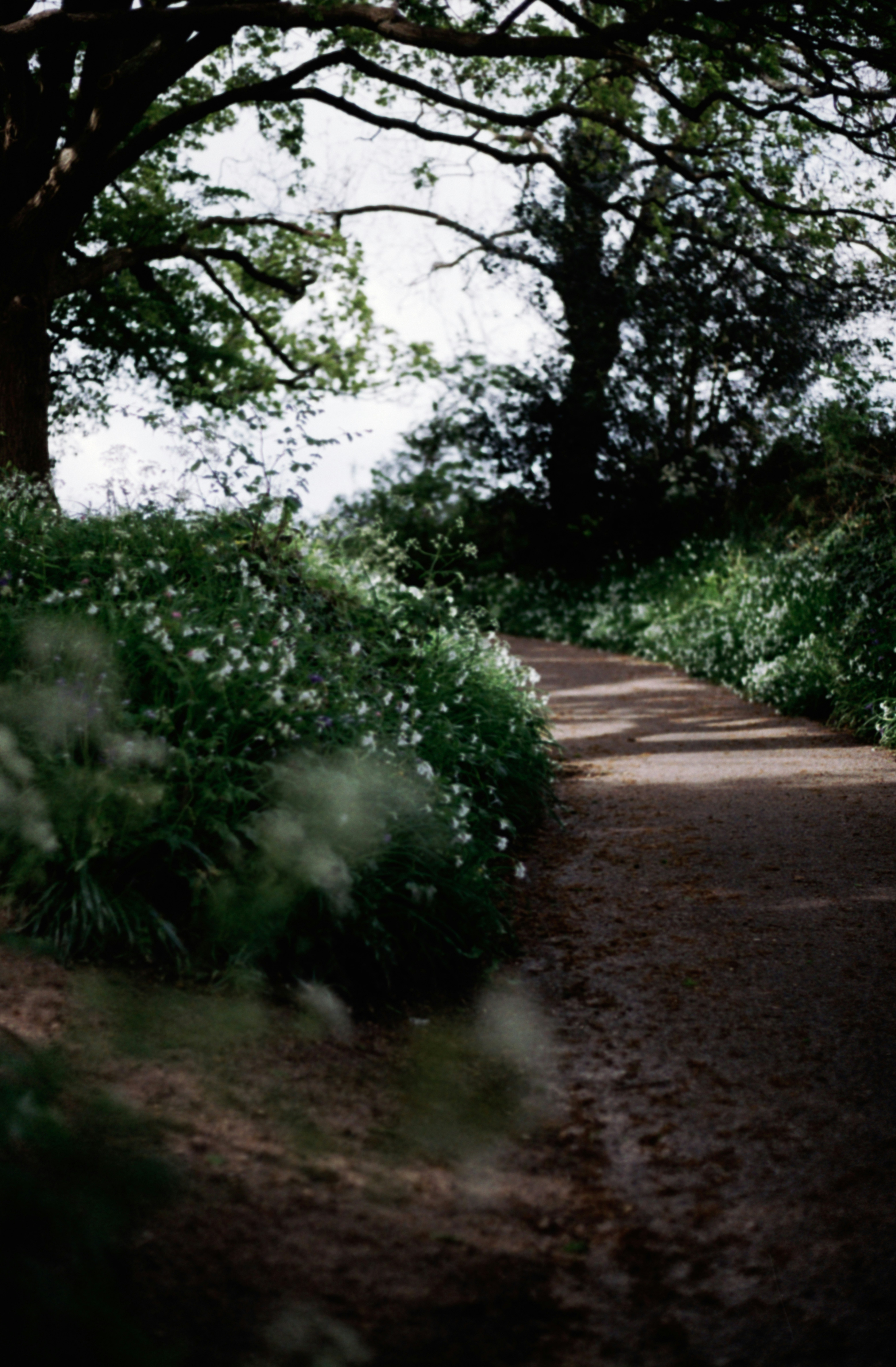 Photo by anniespratt