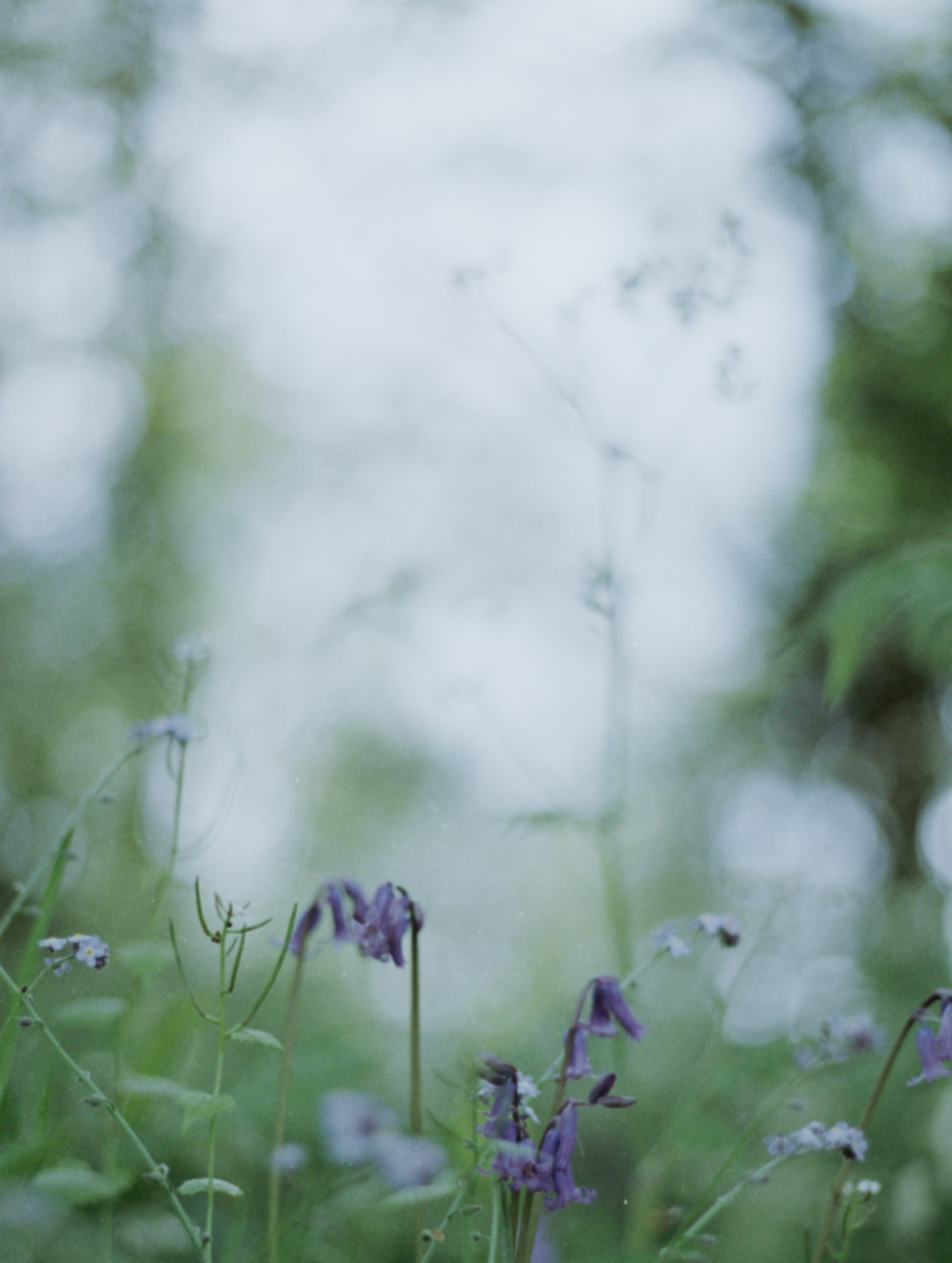 Photo by anniespratt