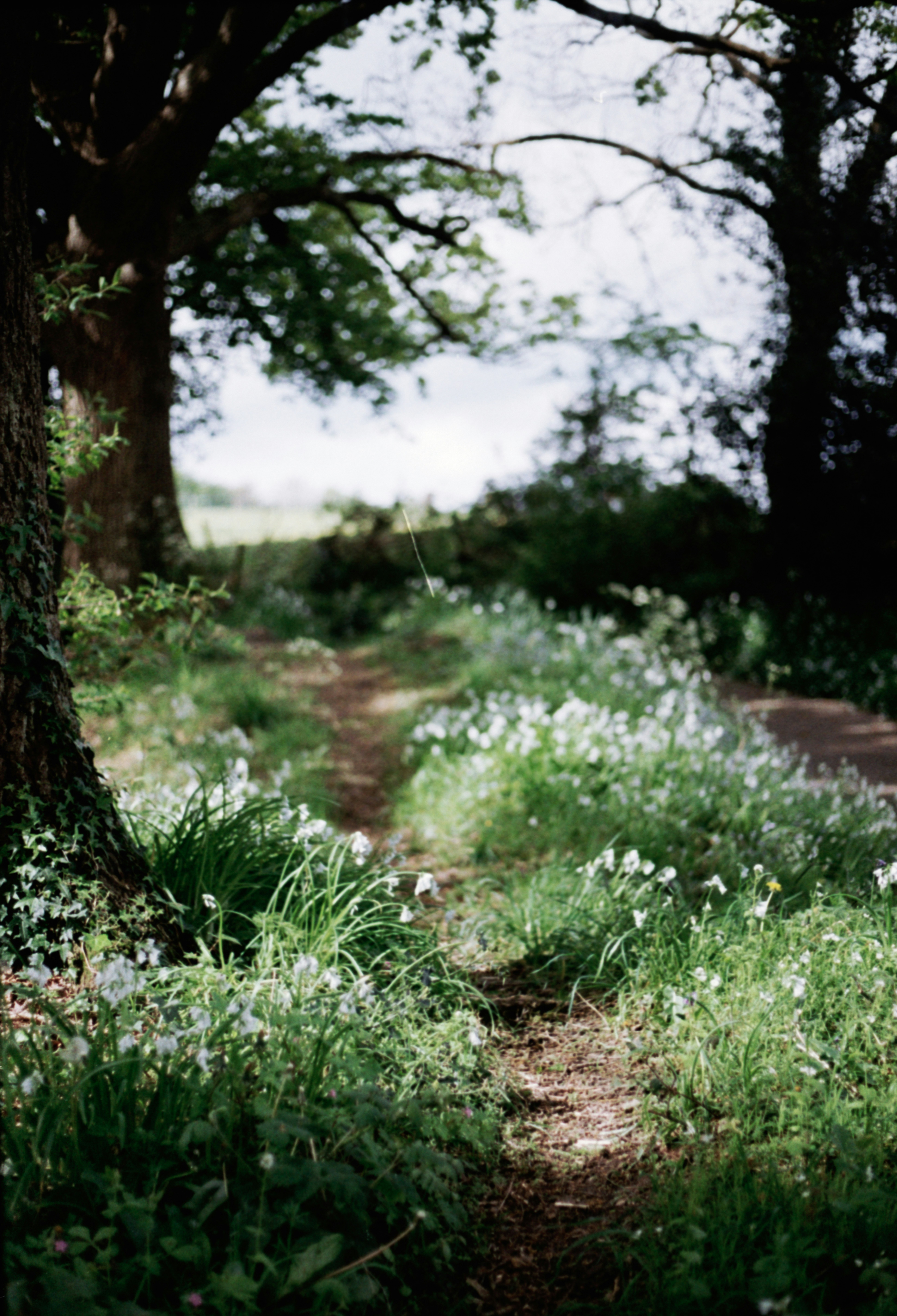 Photo by anniespratt