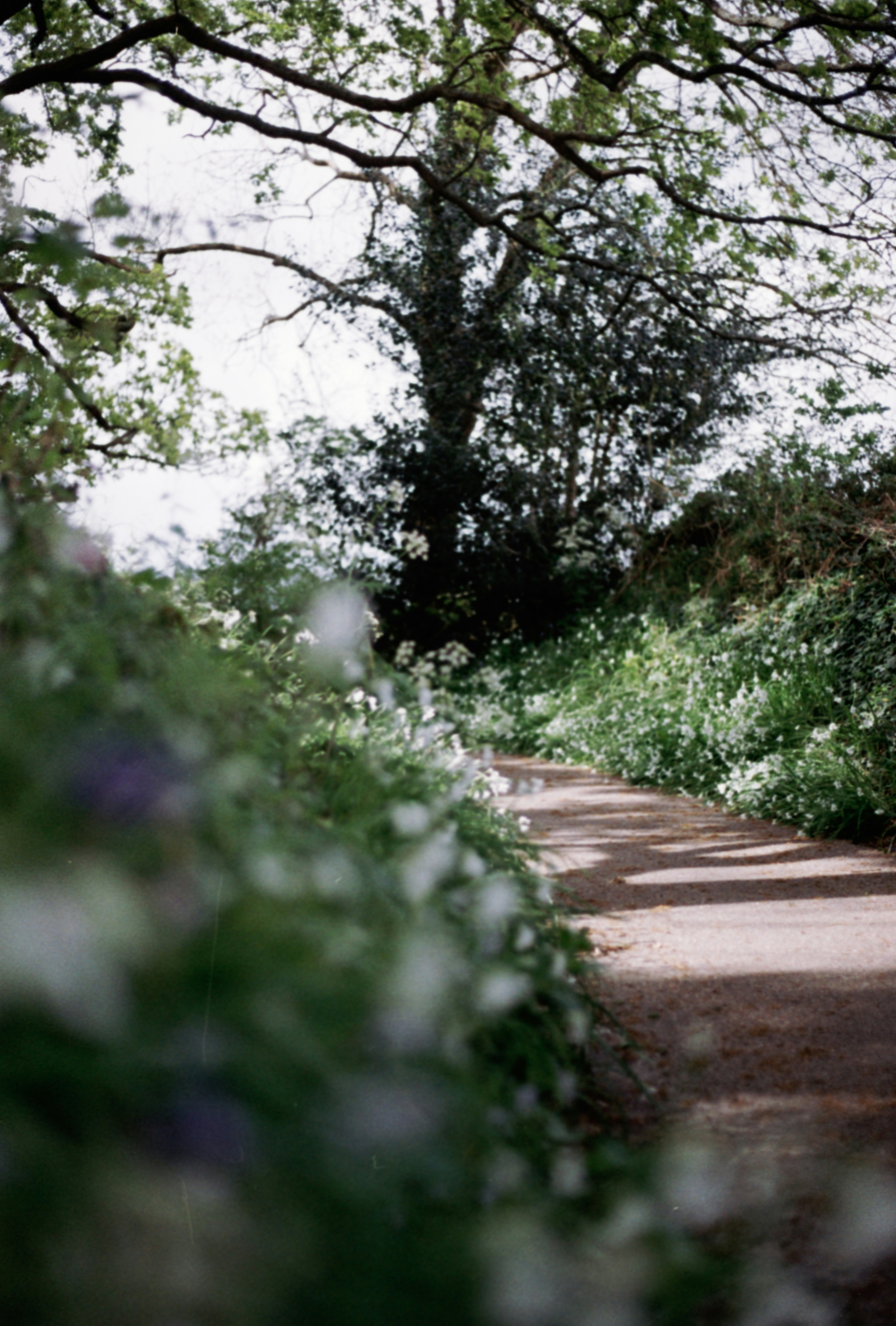 Photo by anniespratt