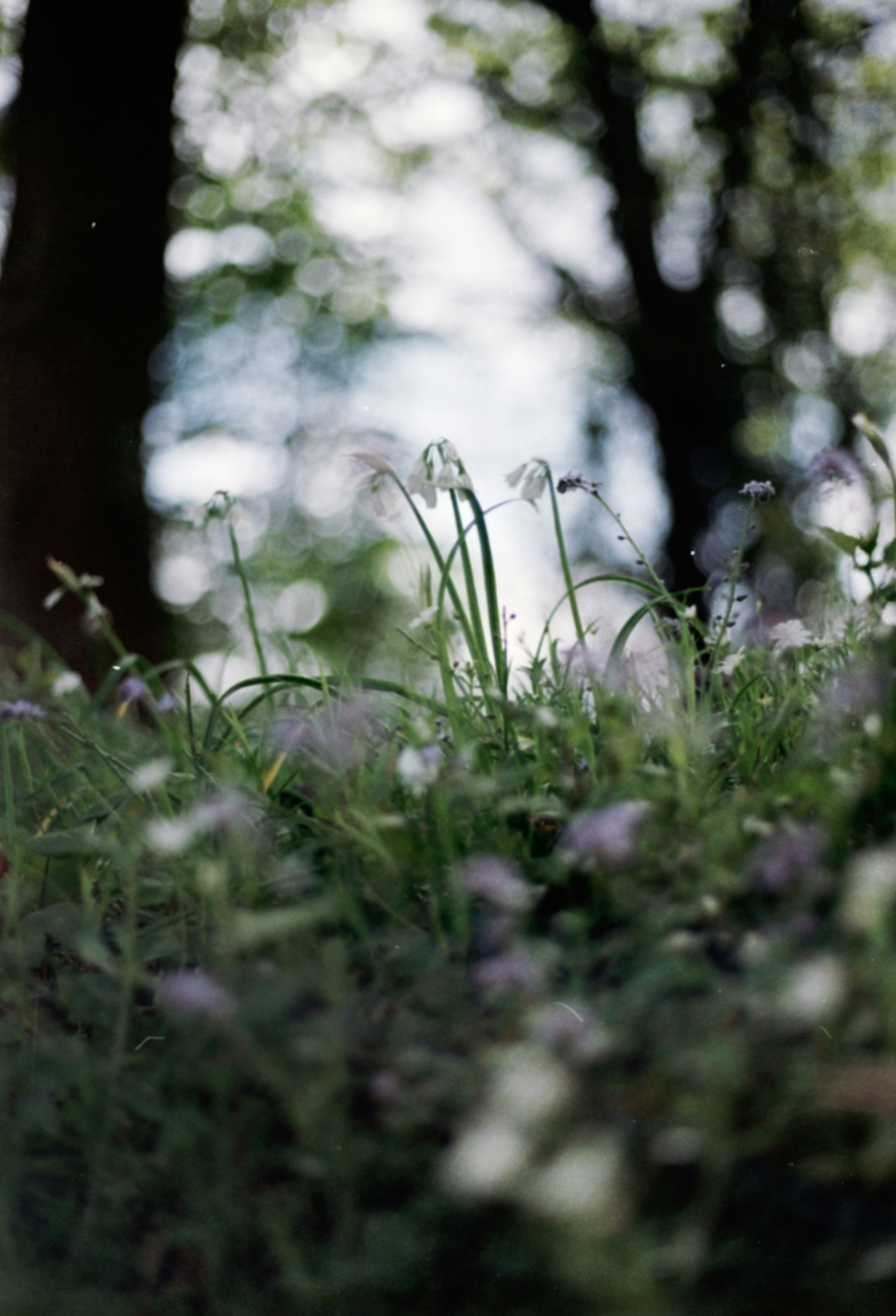 Photo by anniespratt