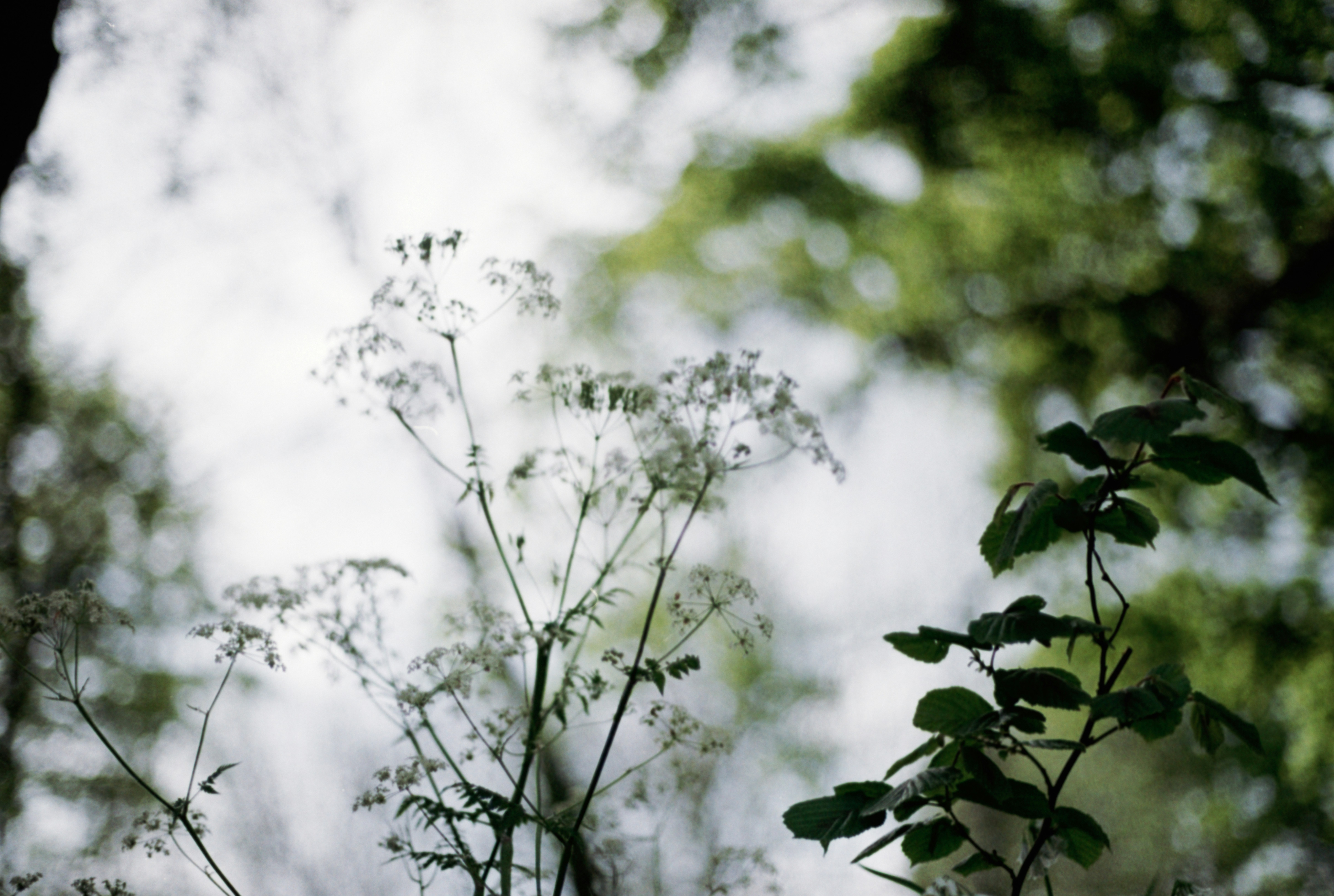 Photo by anniespratt