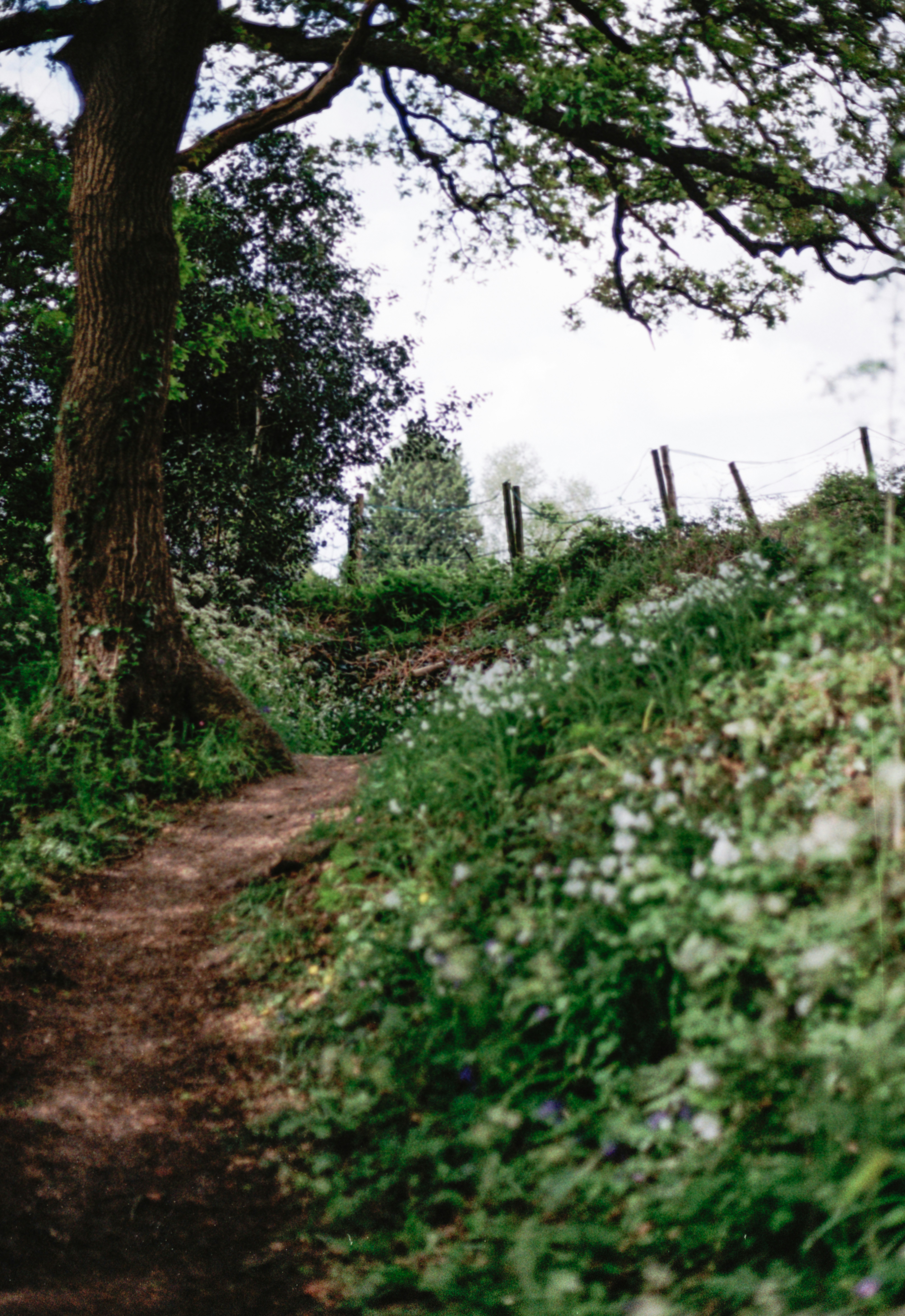 Photo by anniespratt