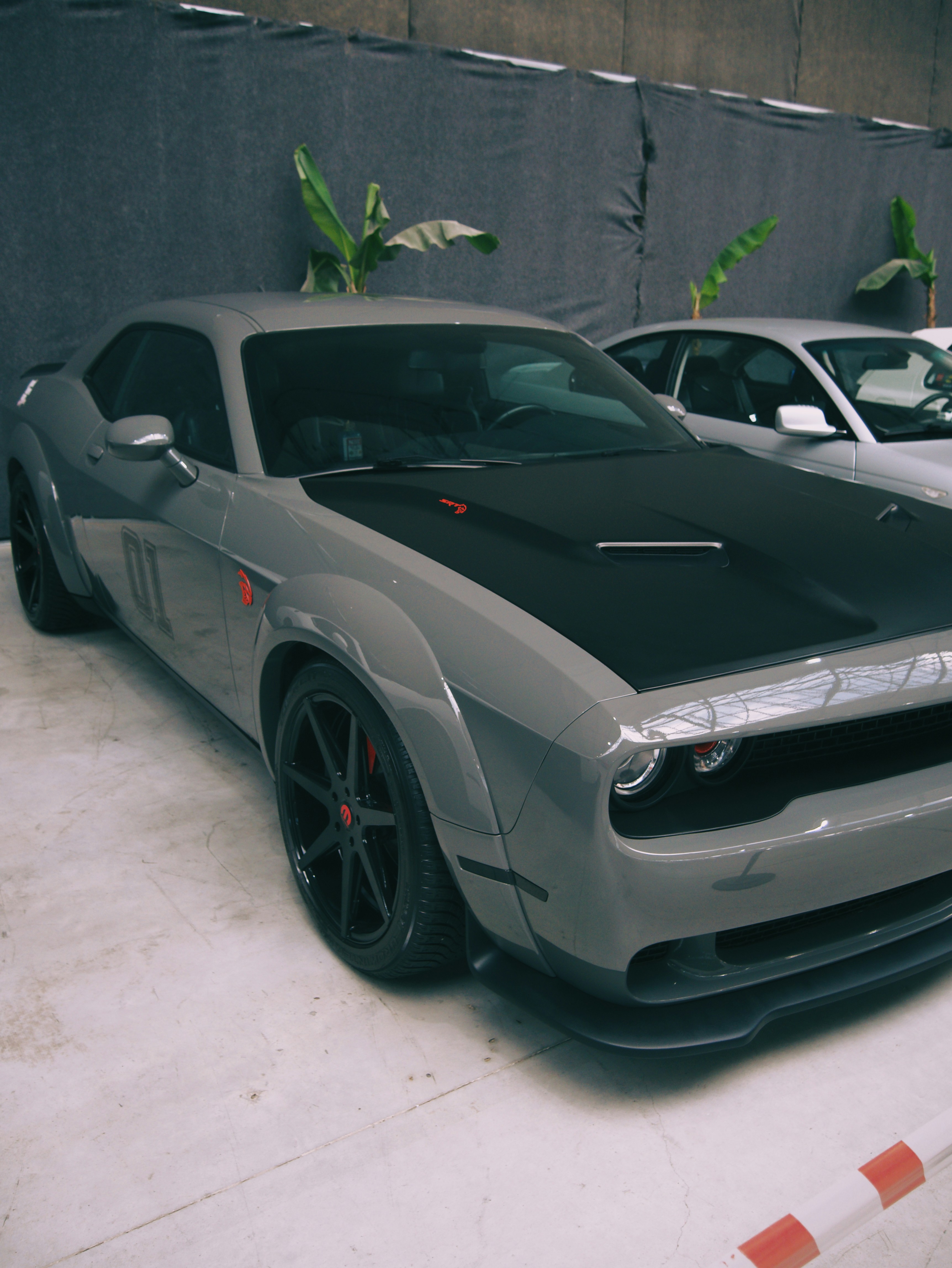 Photo by andrei25_jpg