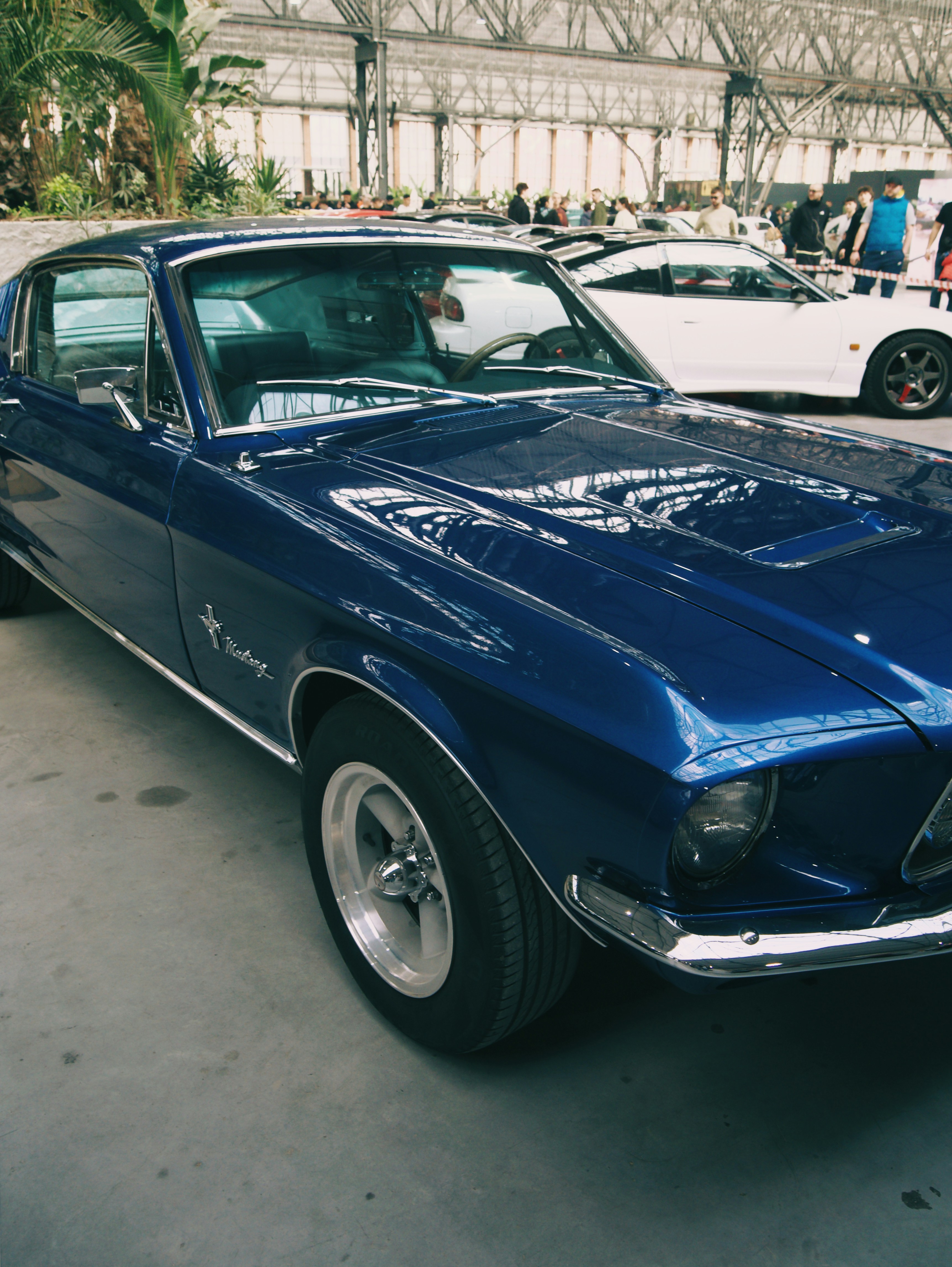 Photo by andrei25_jpg