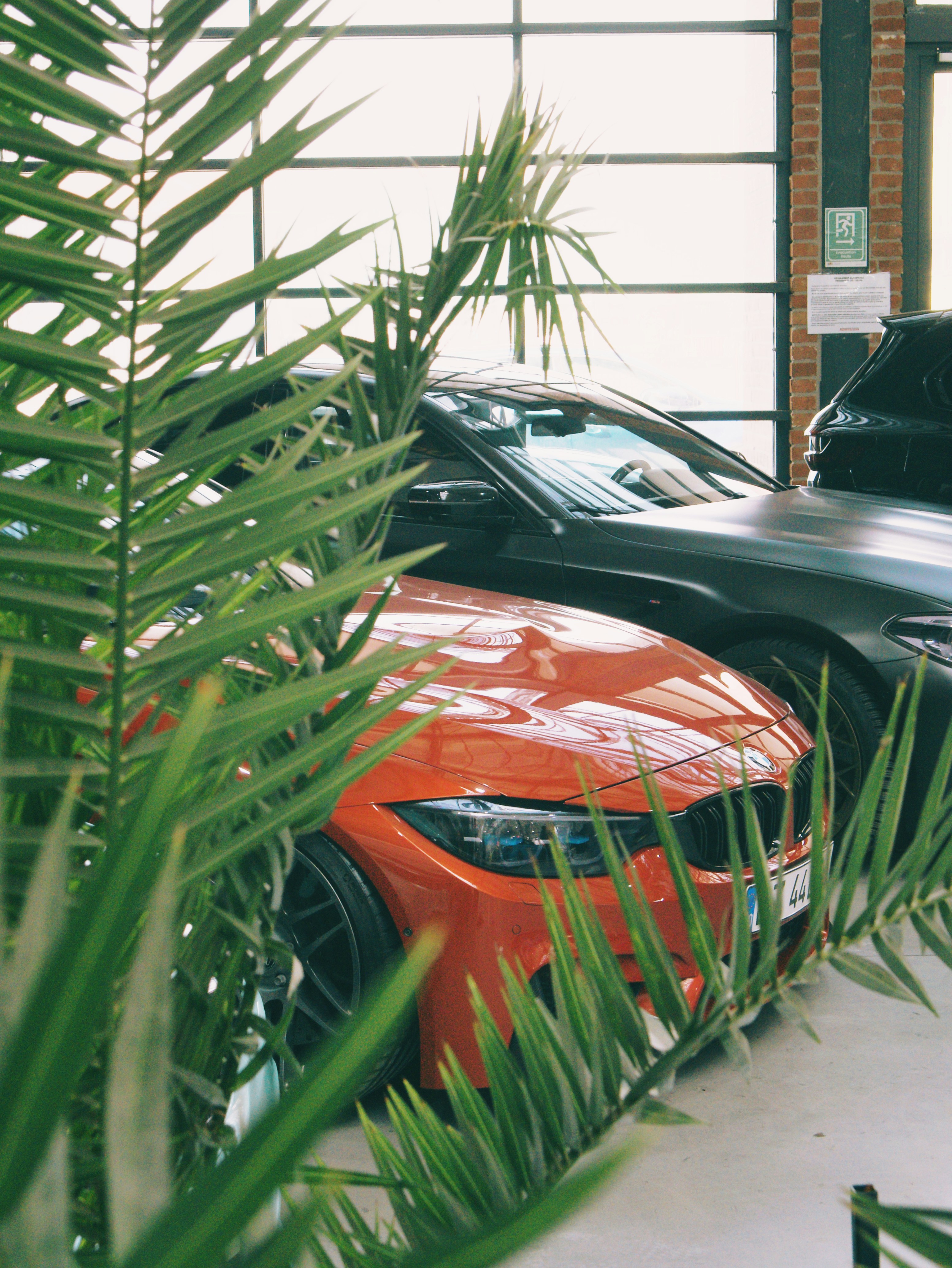 Photo by andrei25_jpg