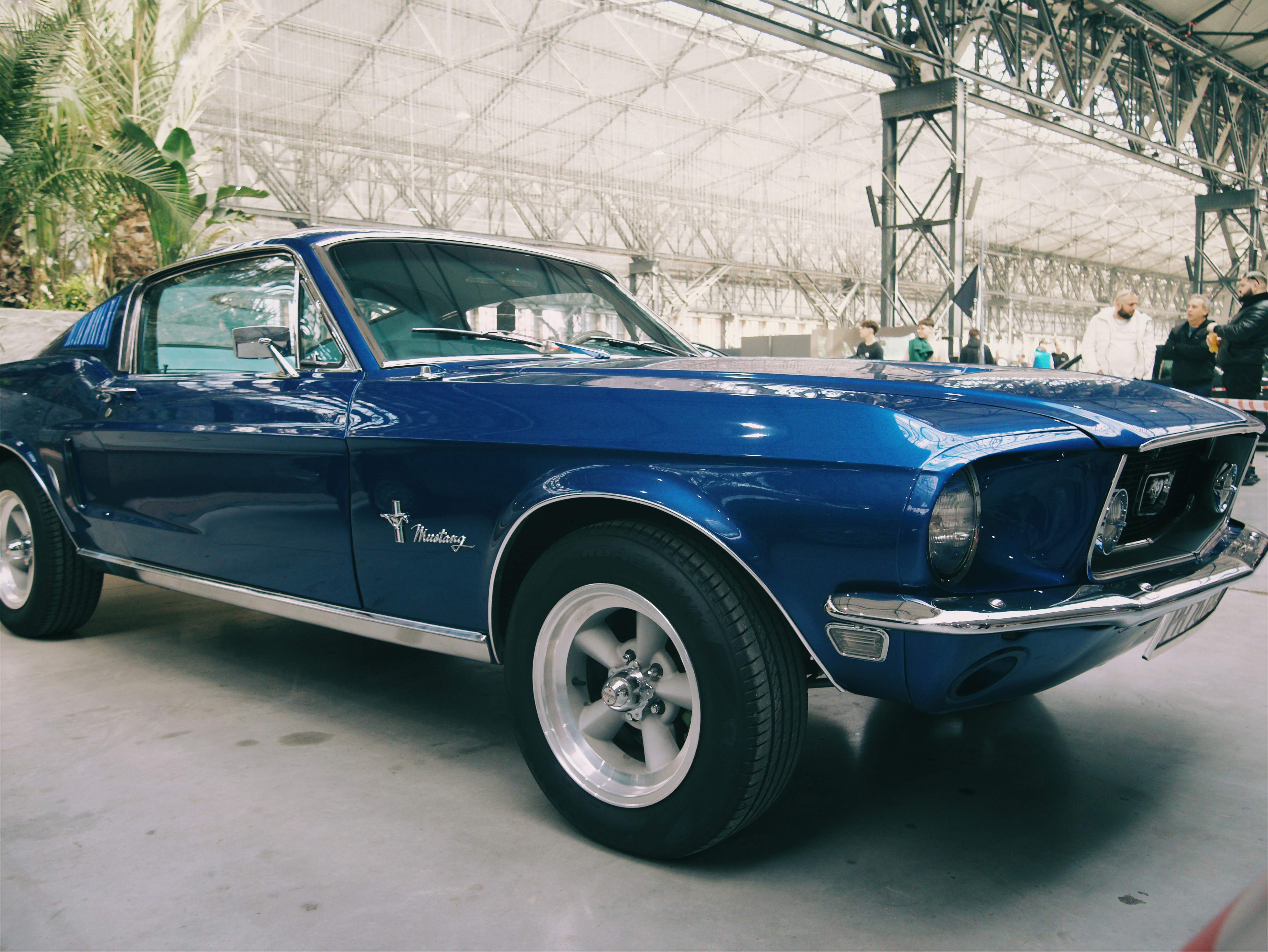 Photo by andrei25_jpg