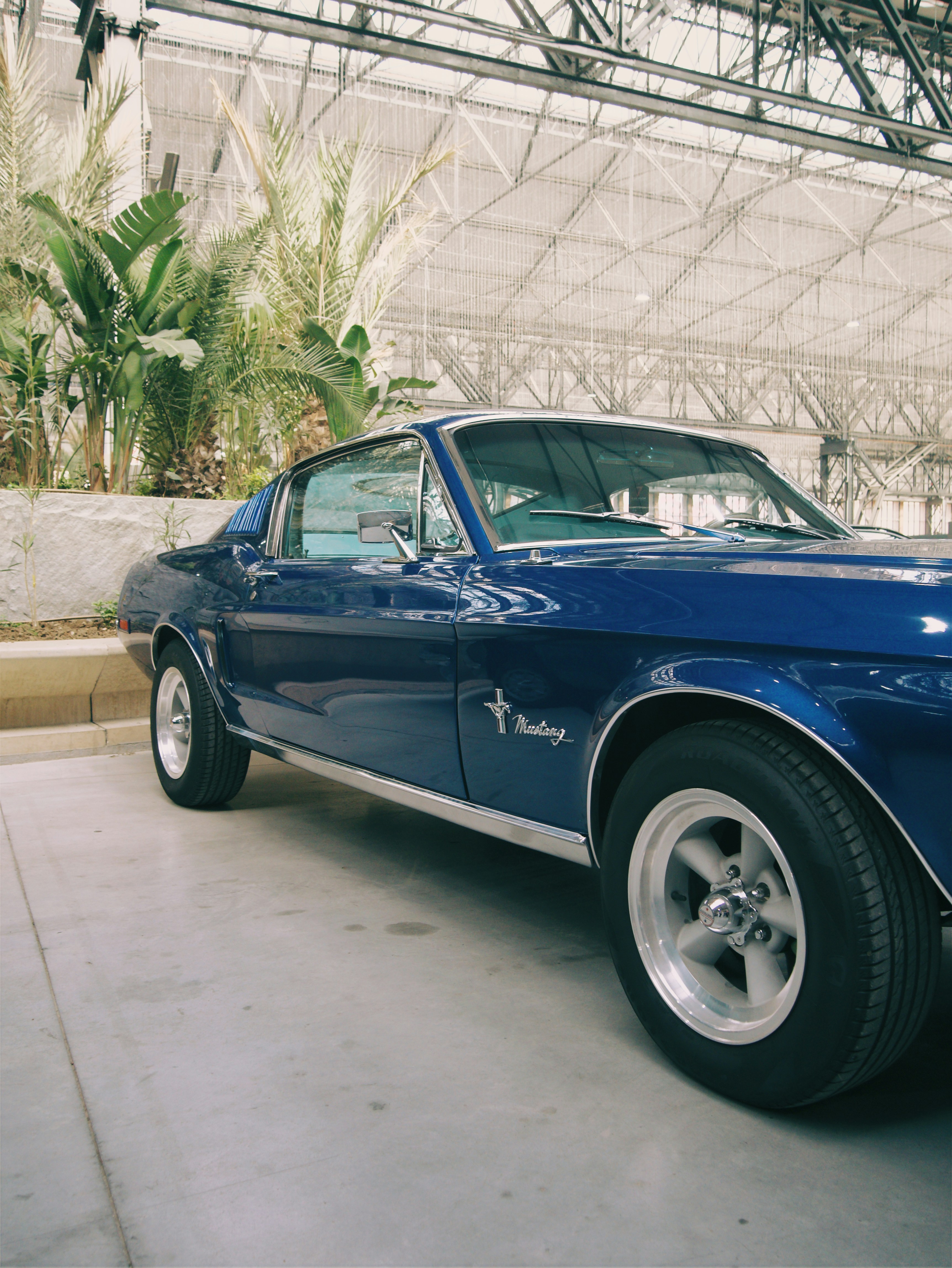 Photo by andrei25_jpg