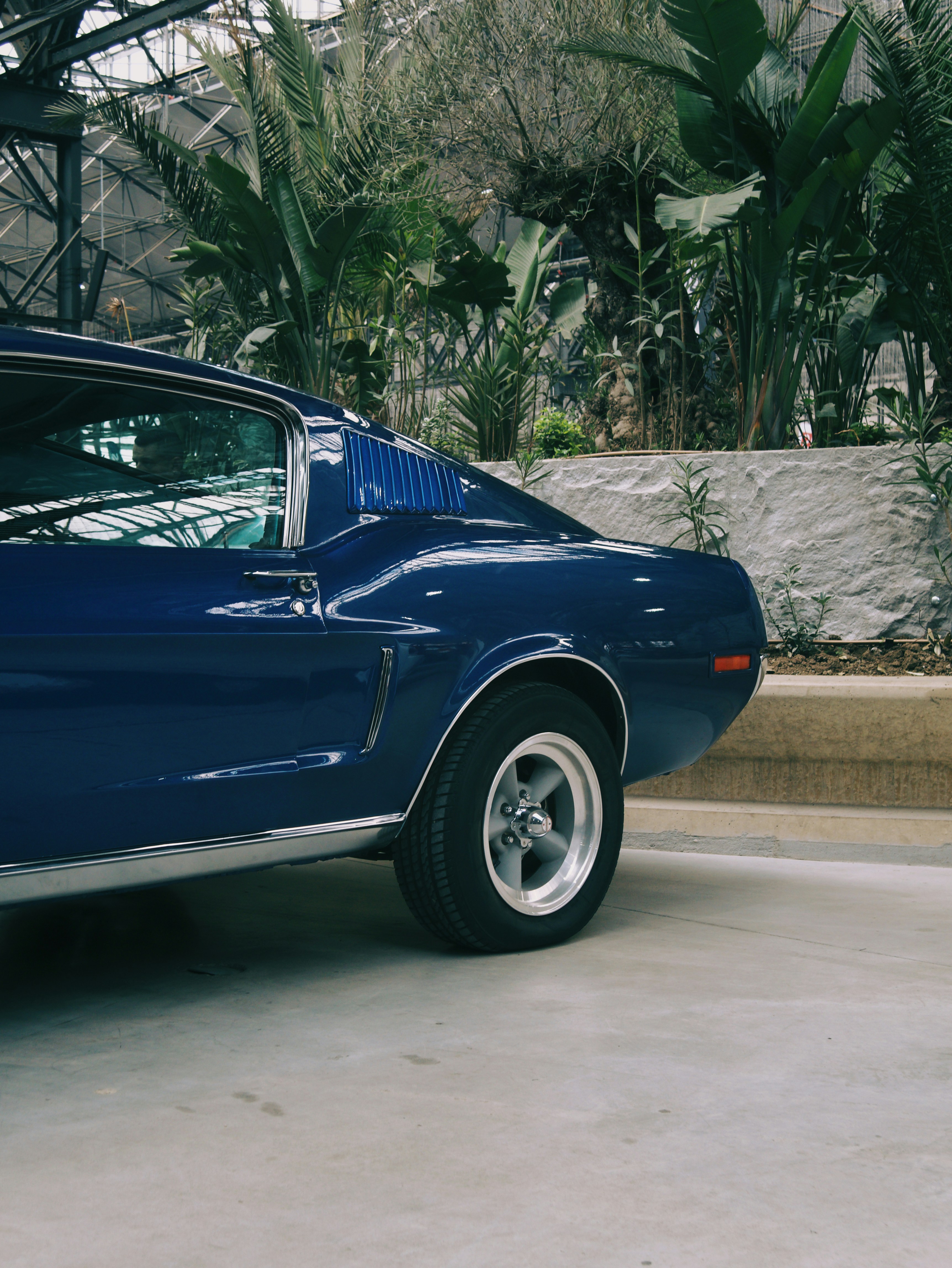 Photo by andrei25_jpg