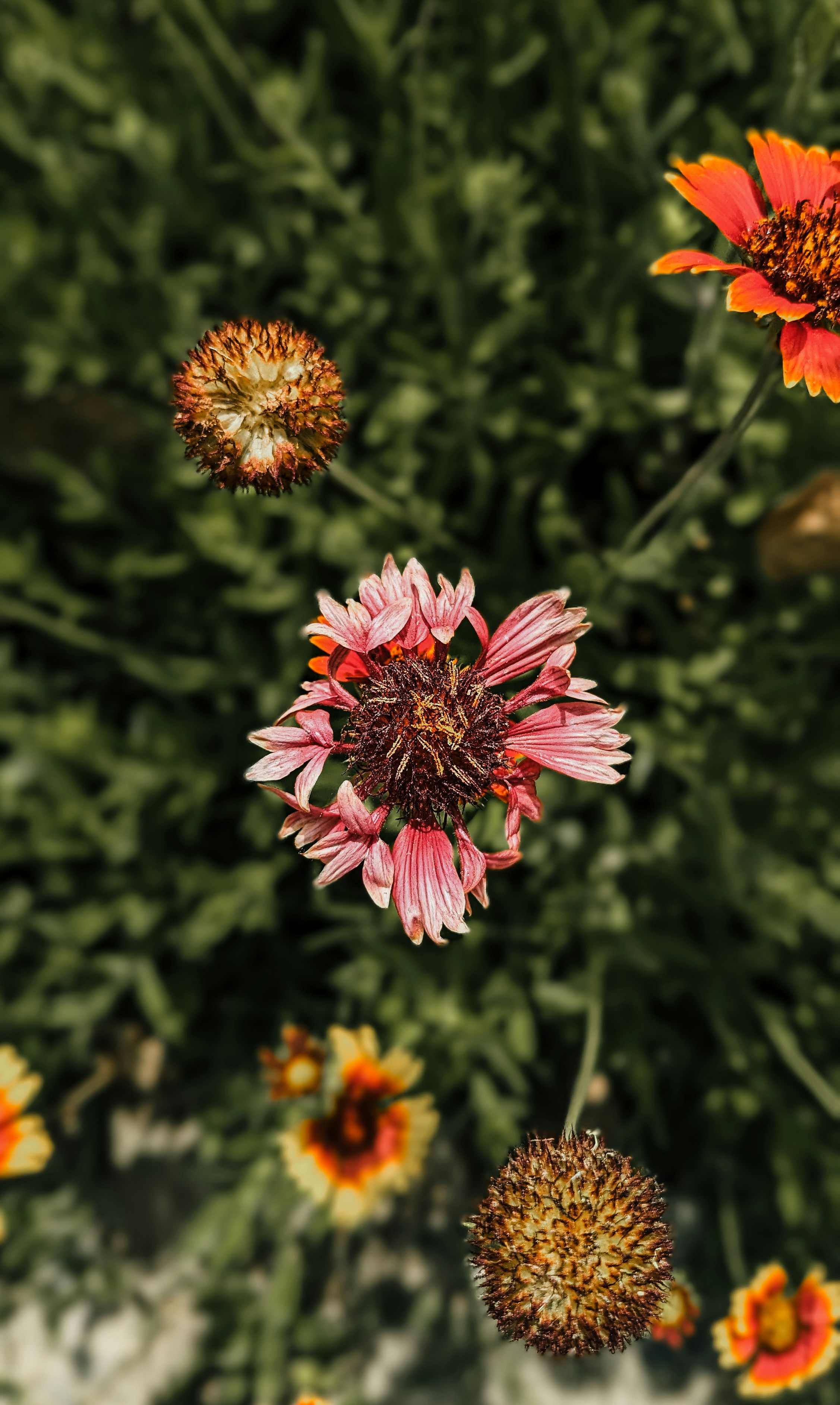 Photo by drphotographer152