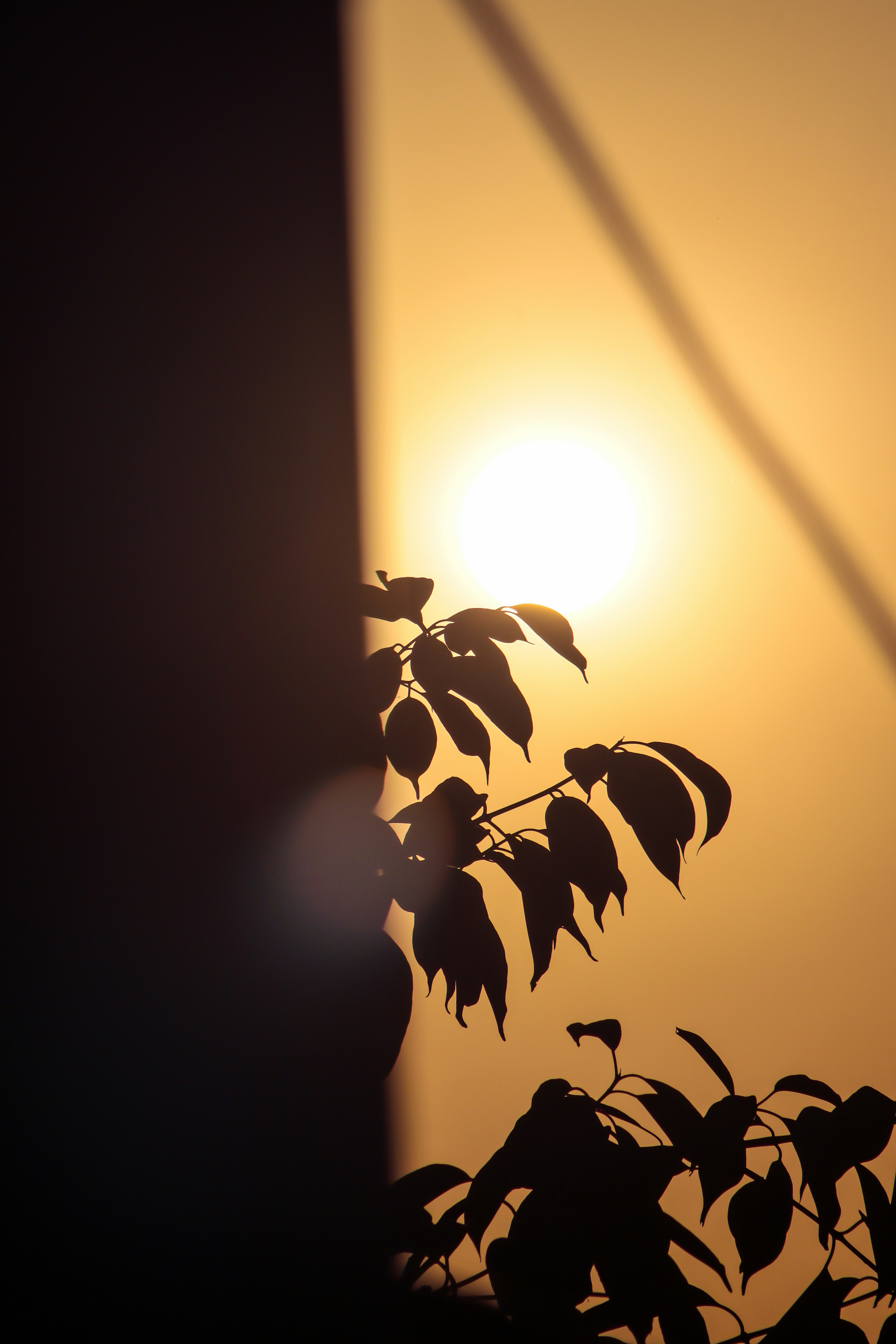 Photo by drphotographer152