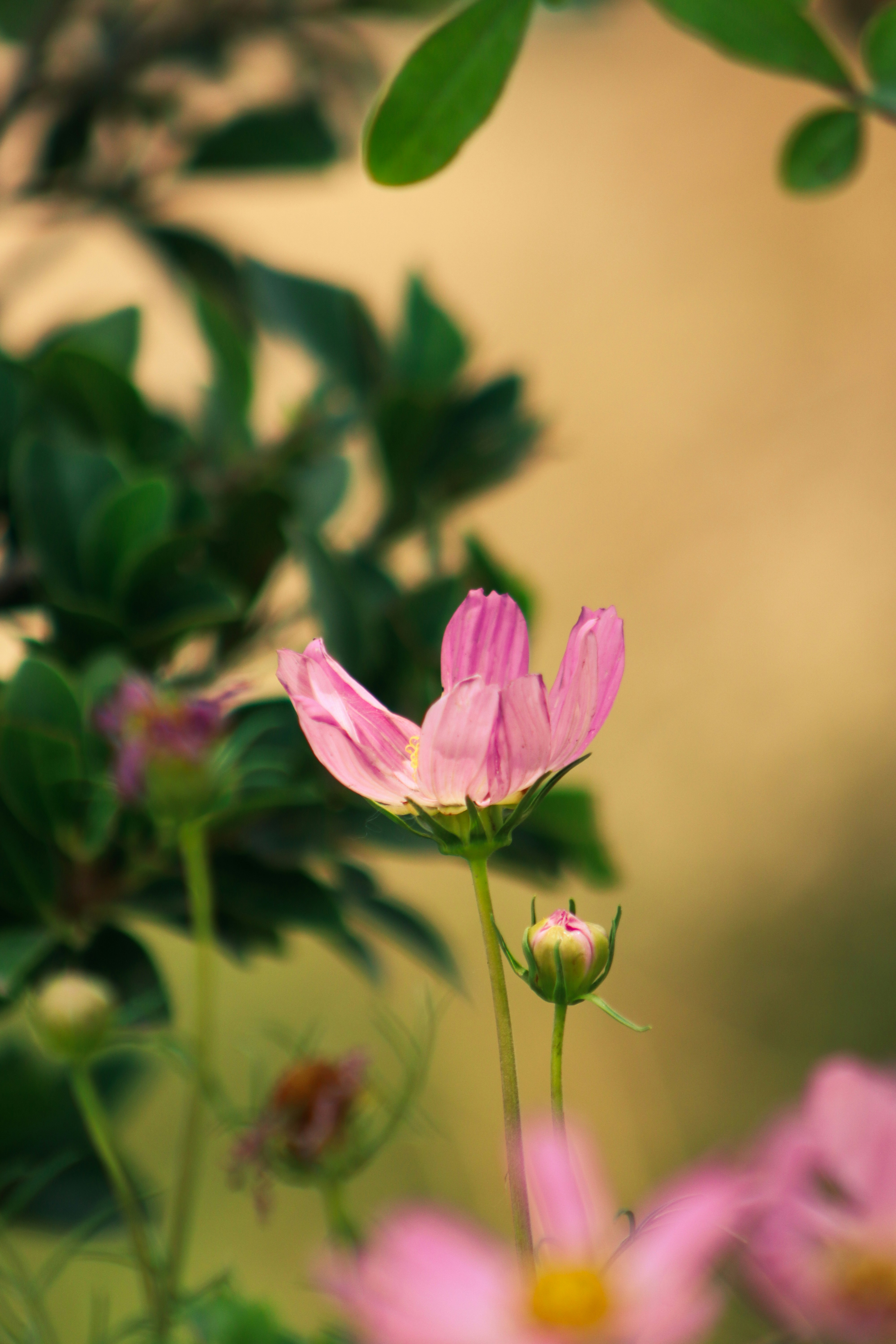 Photo by drphotographer152