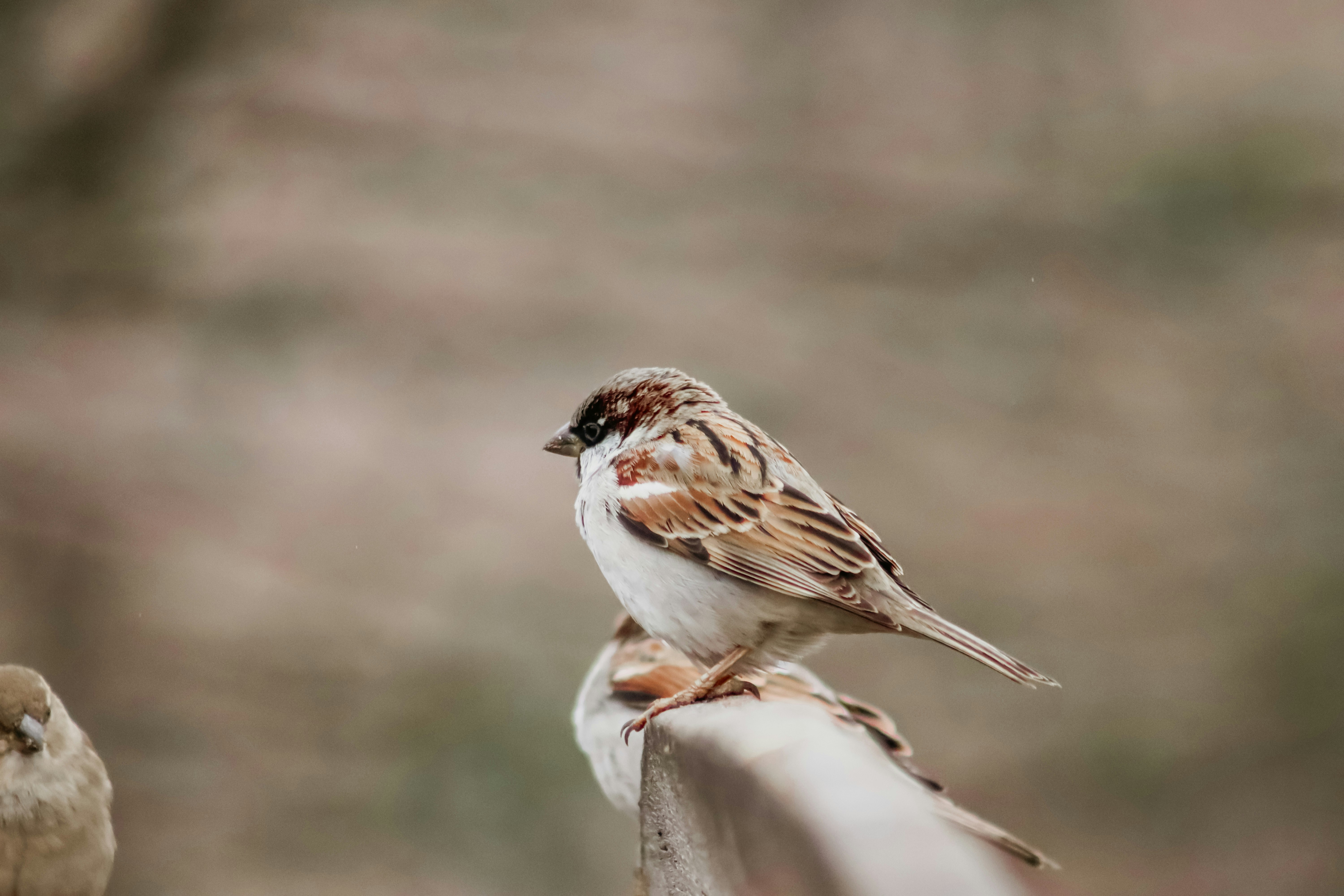 Photo by drphotographer152