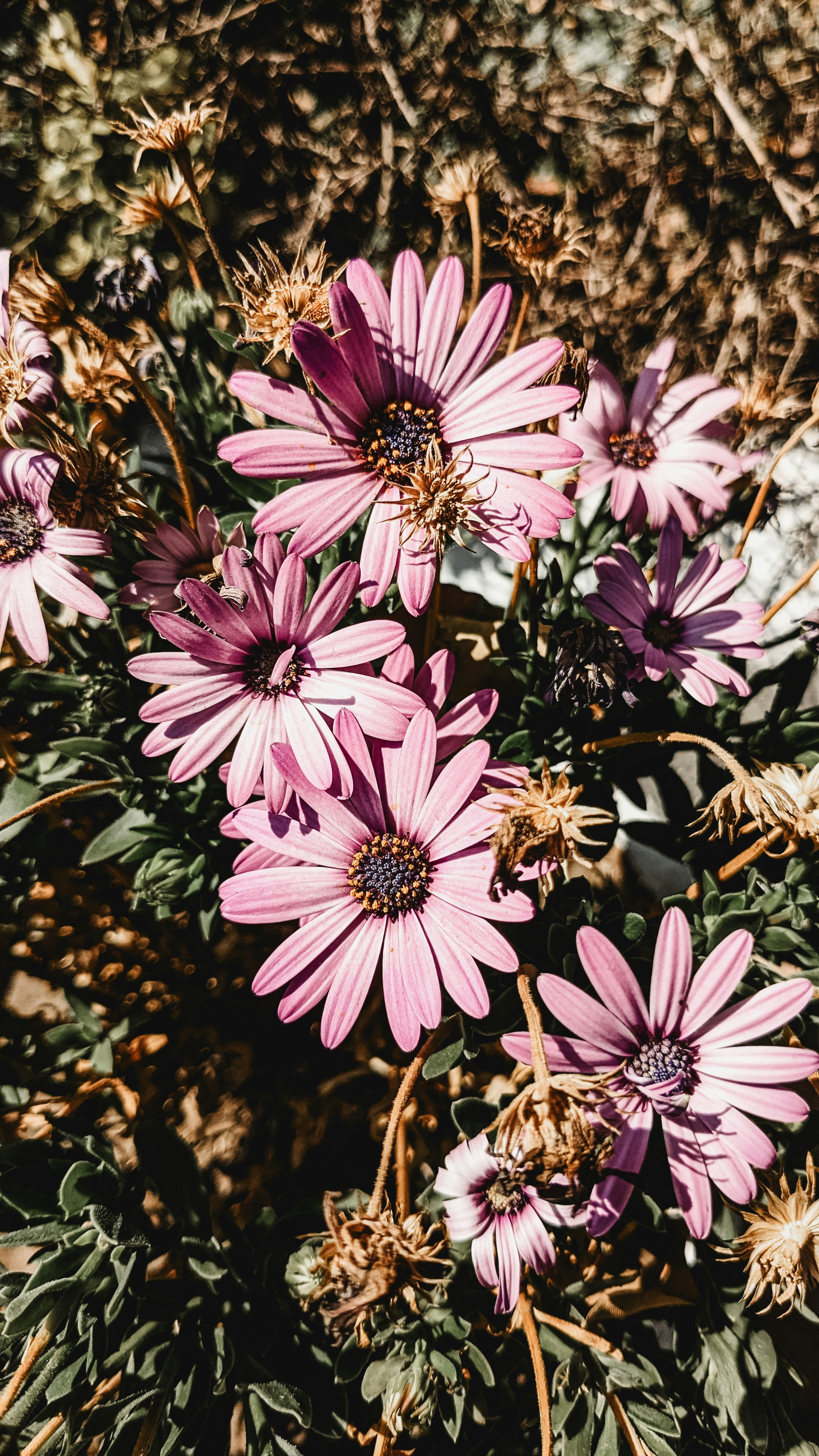 Photo by drphotographer152